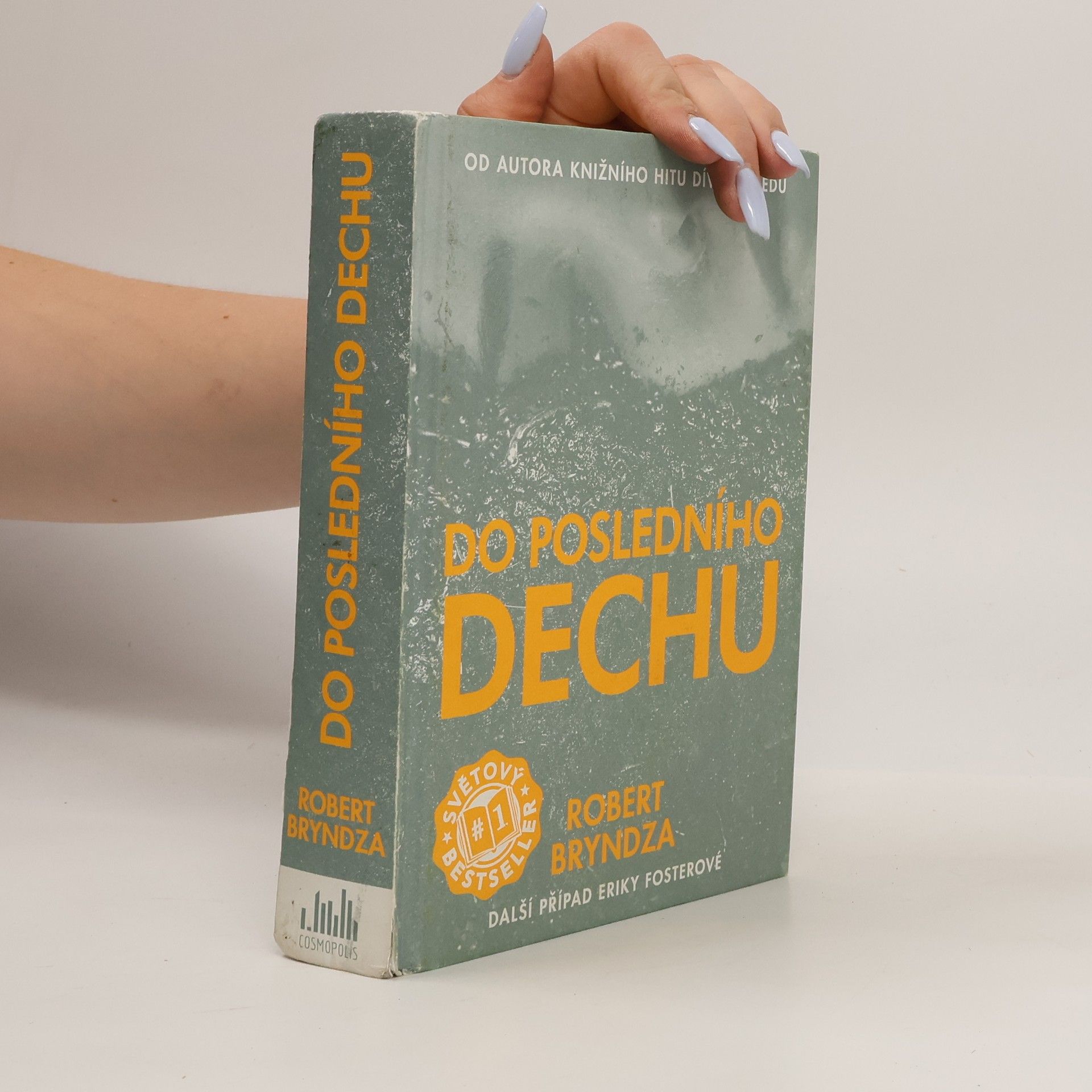 Robert Bryndza Do posledního dechu