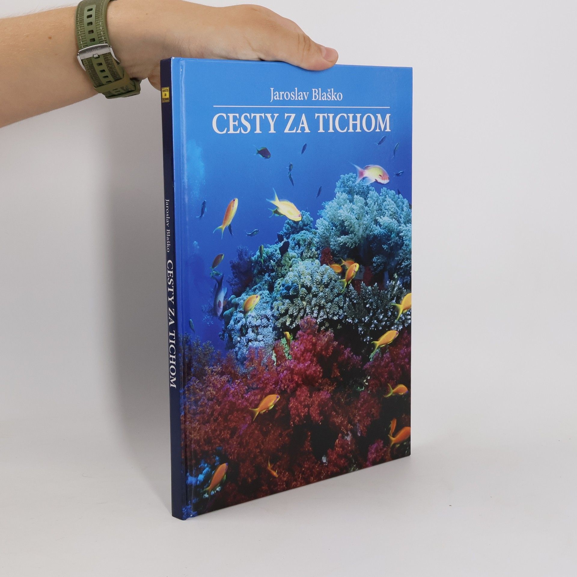 Jaroslav Blaško Cesty za tichom