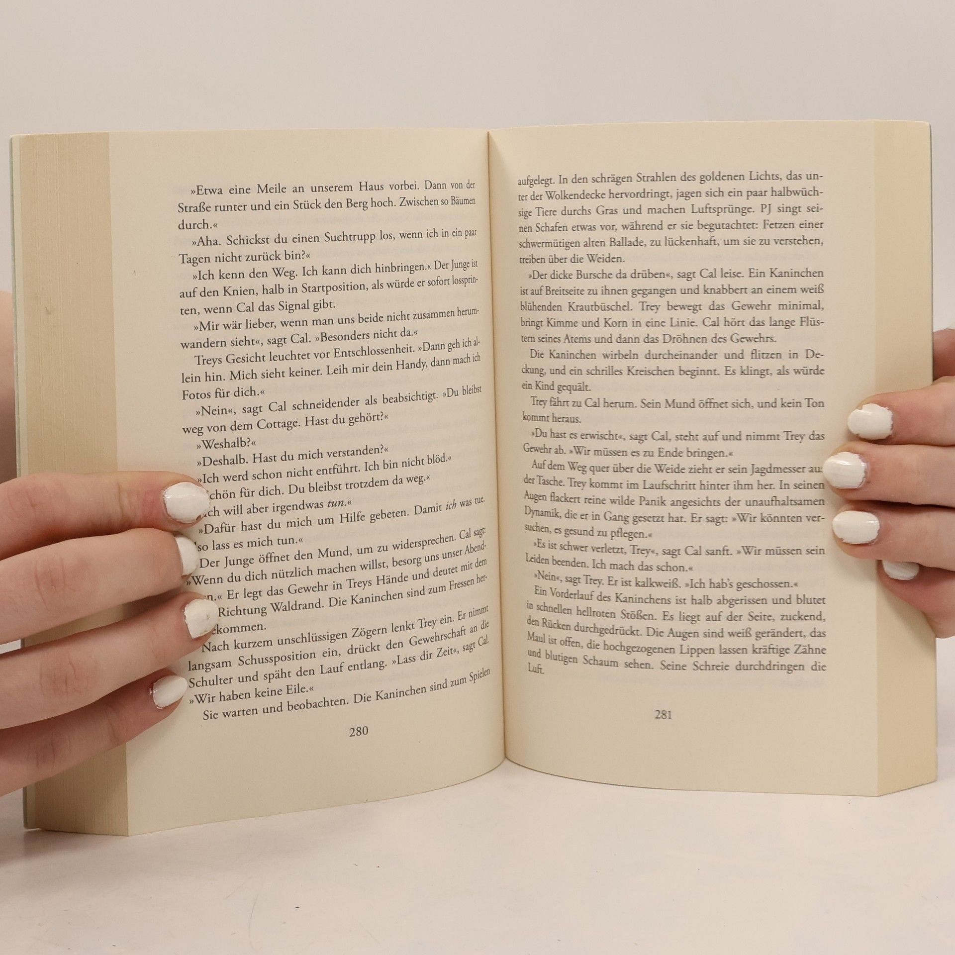 Tana French Der Sucher