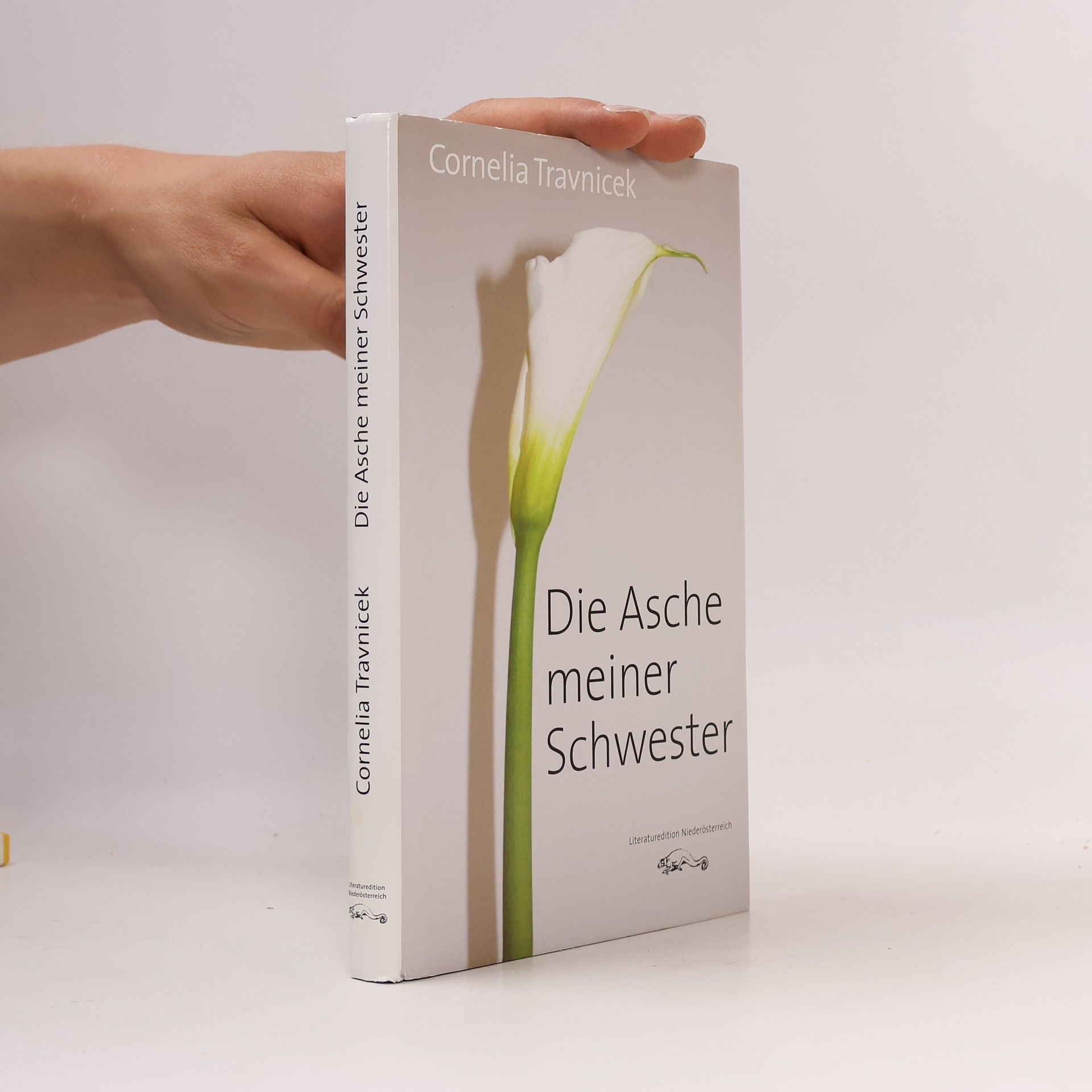 Cornelia Travnicek Die Asche meiner Schwester