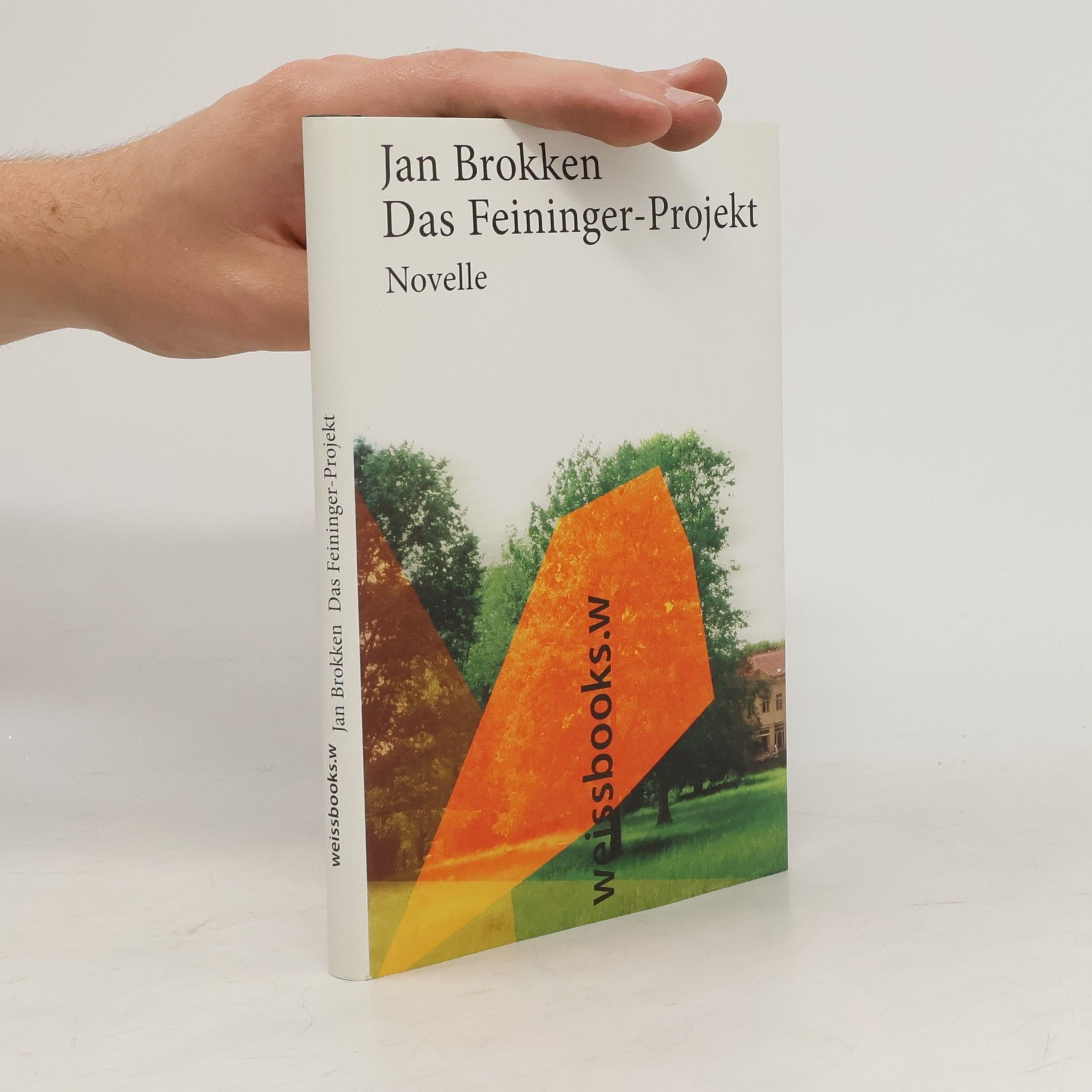 Jan Brokken Das Feininger-Projekt