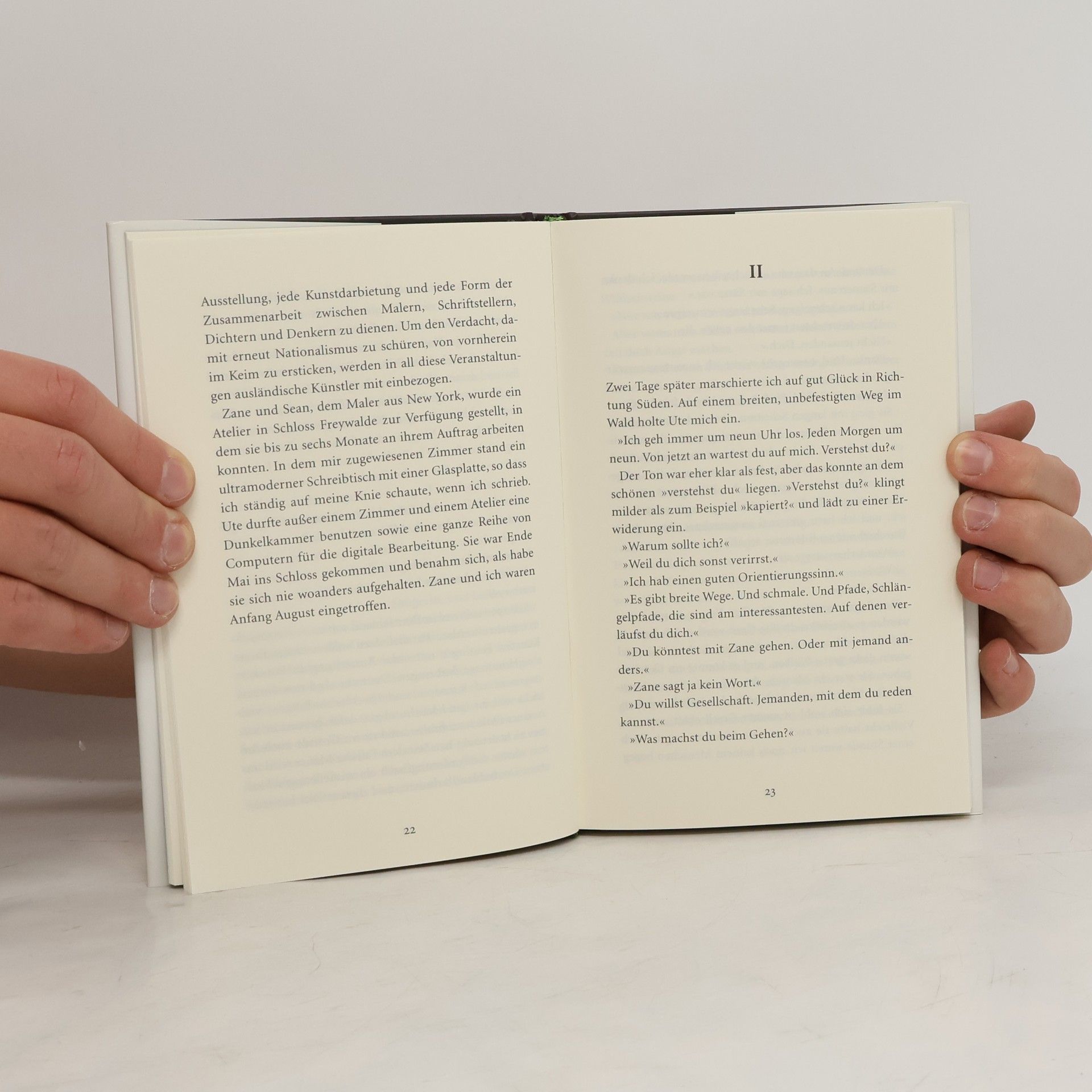 Jan Brokken Das Feininger-Projekt
