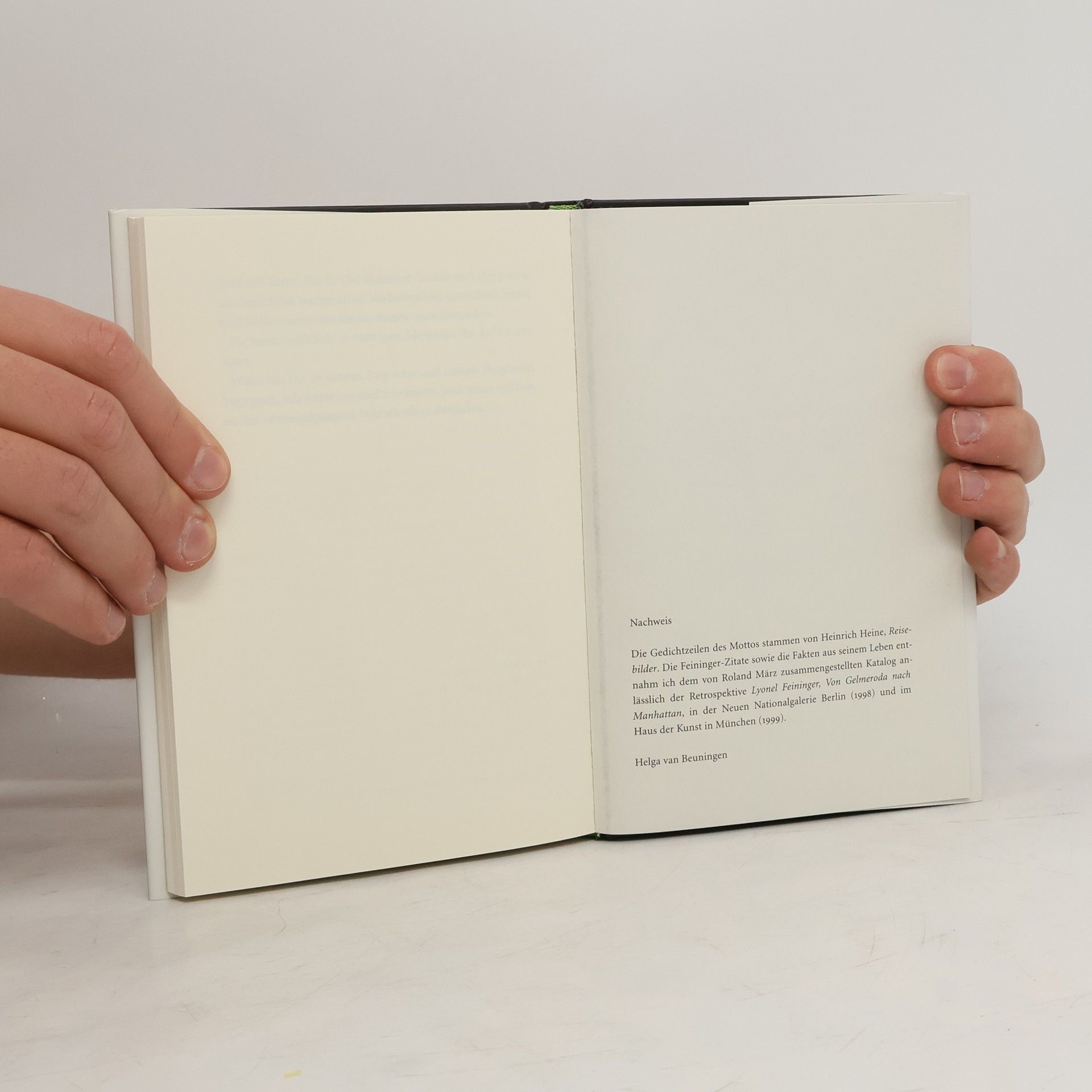 Jan Brokken Das Feininger-Projekt