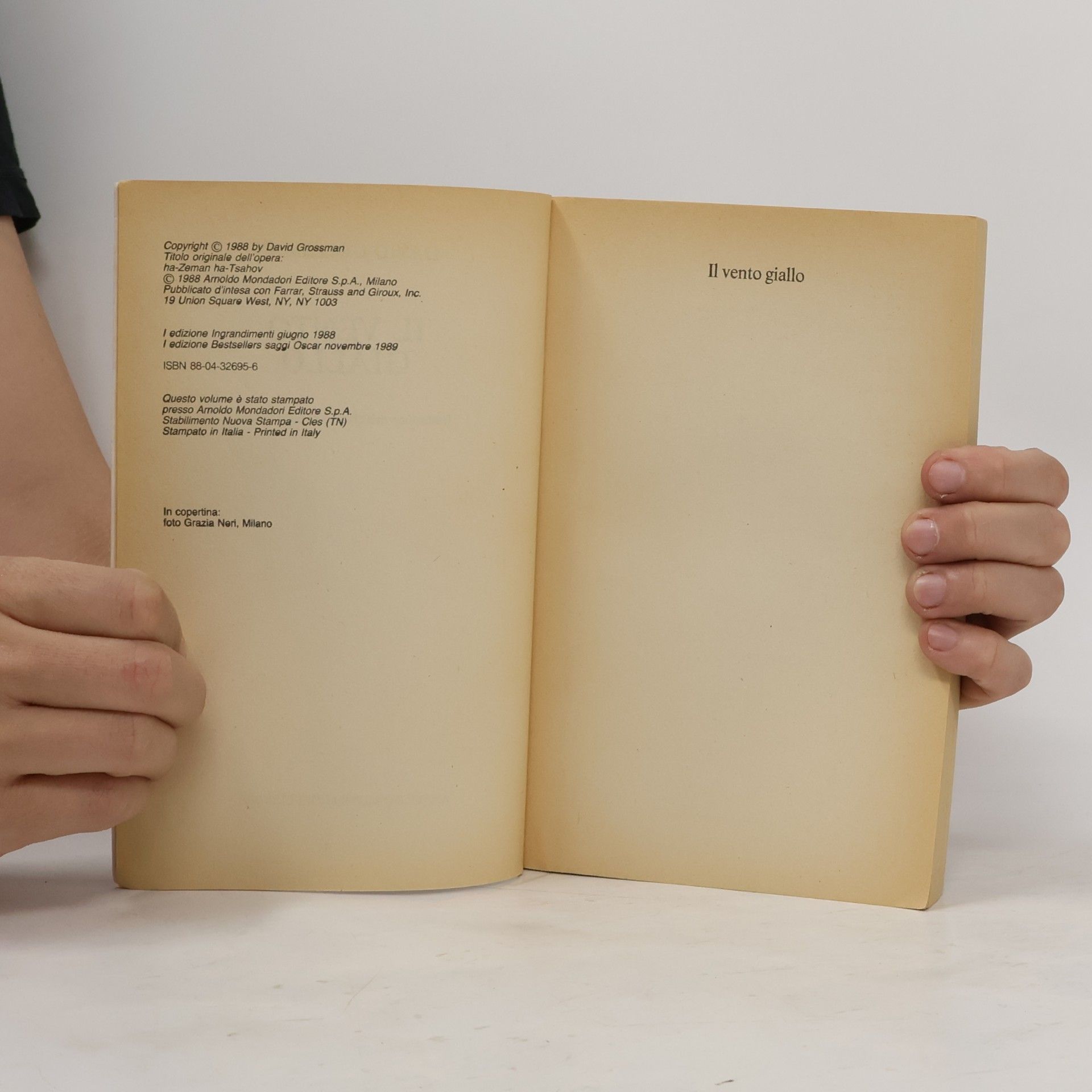 David Grossman Il vento giallo
