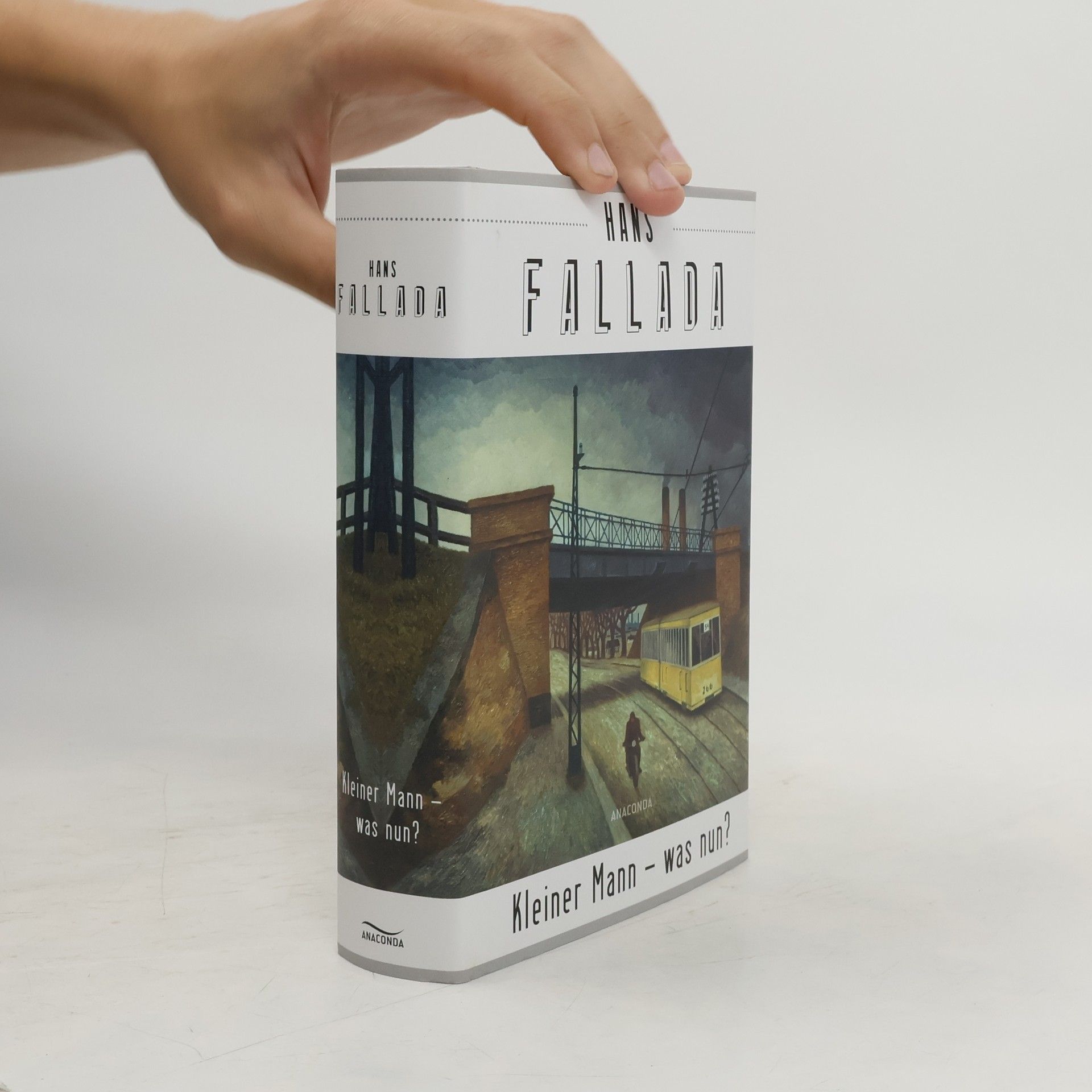 Hans Fallada Kleiner Mann - was nun?