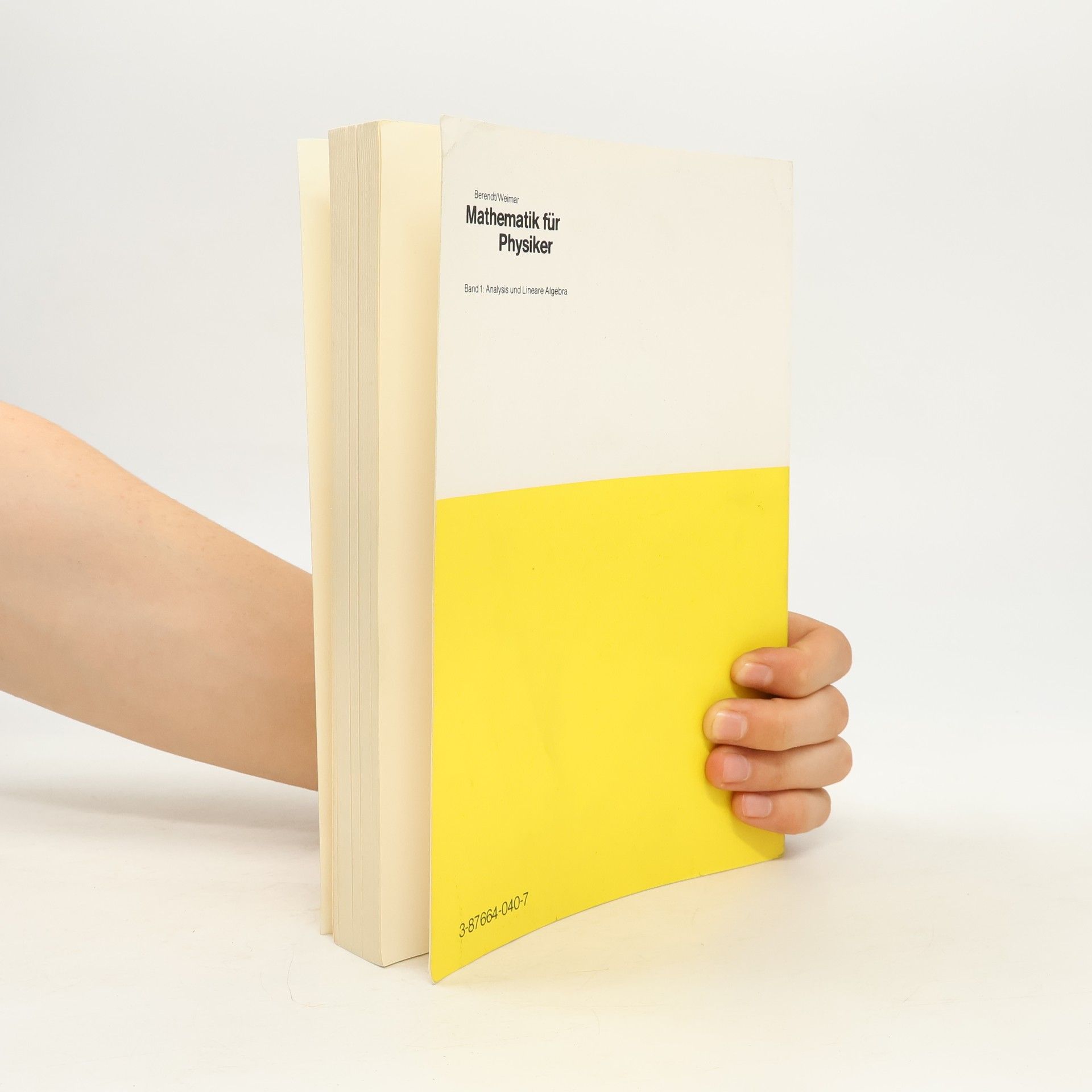 Berendt Mathematik für Physiker