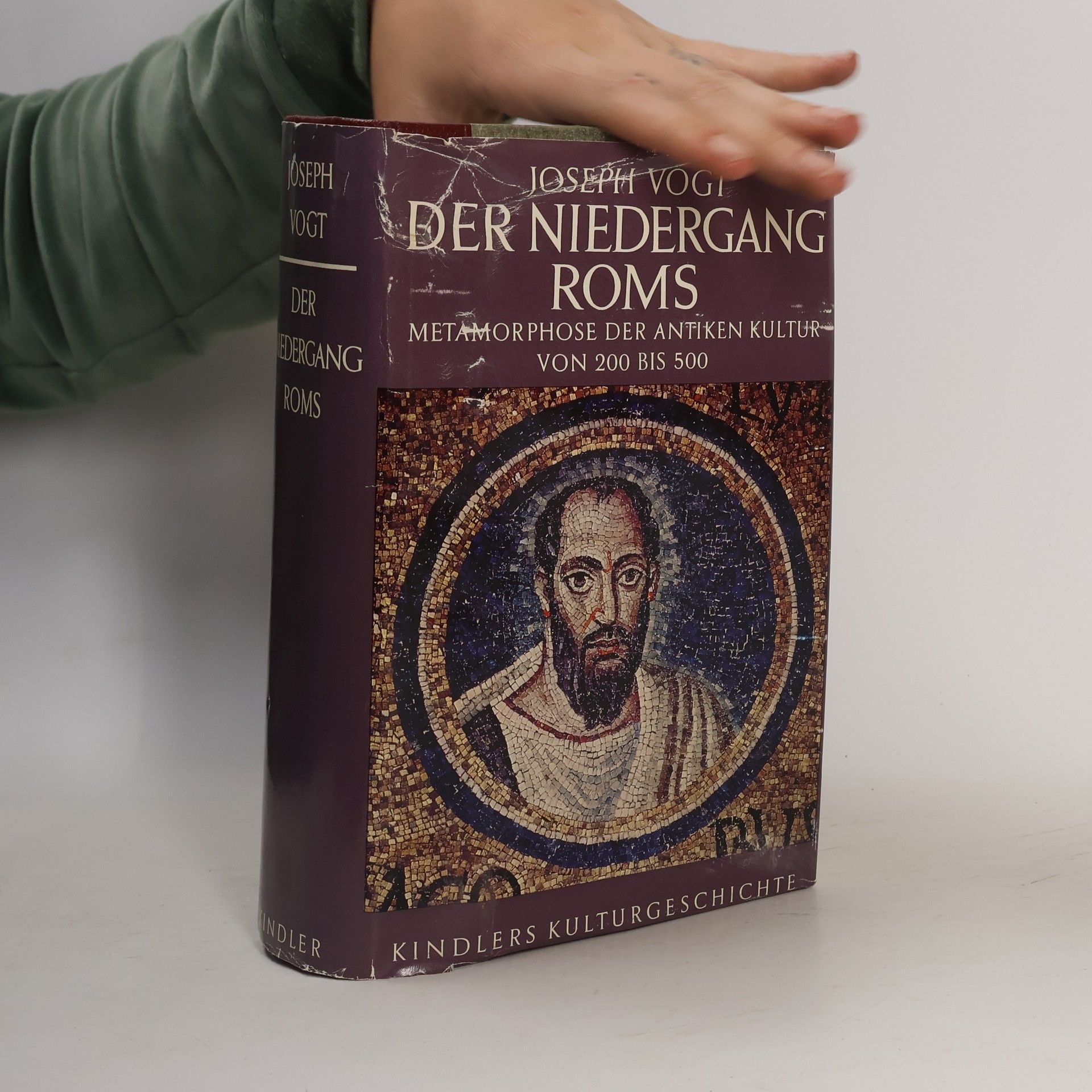 Joseph Vogt Der Niedergang Roms