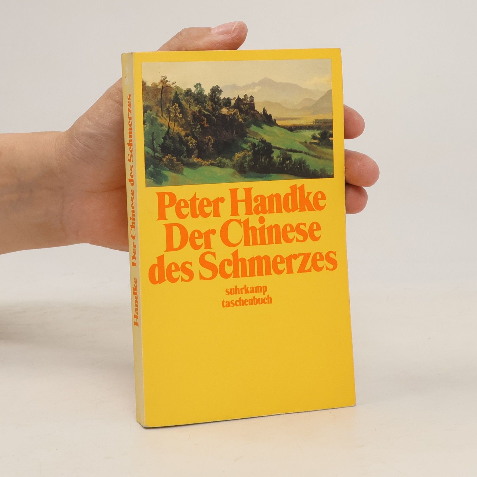 Peter Handke Der Chinese des Schmerzes