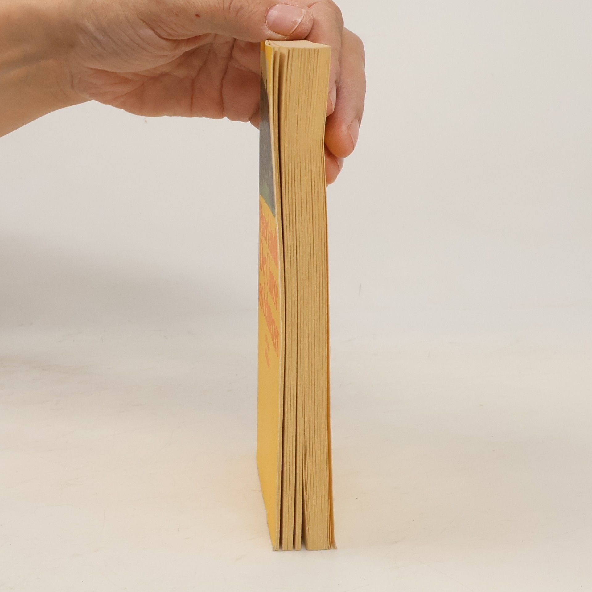 Peter Handke Der Chinese des Schmerzes