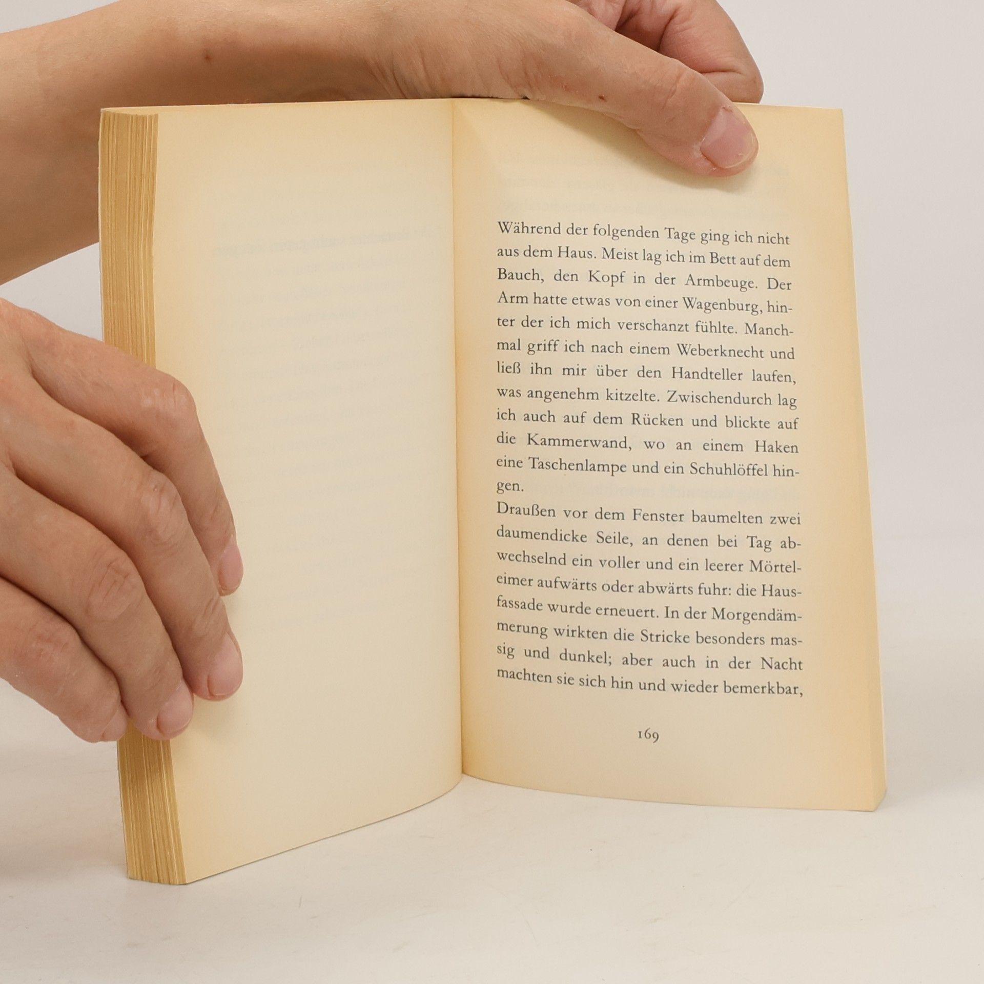 Peter Handke Der Chinese des Schmerzes