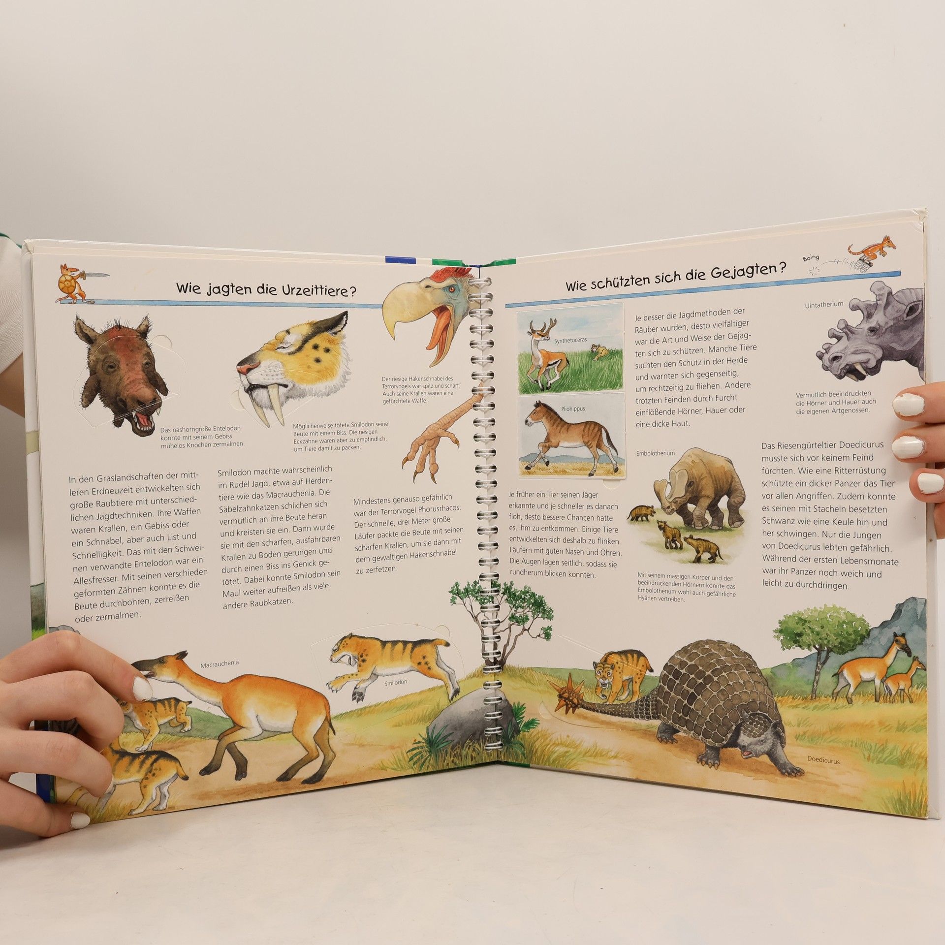 Anne Ebert Wir entdecken die Tiere der Urzeit