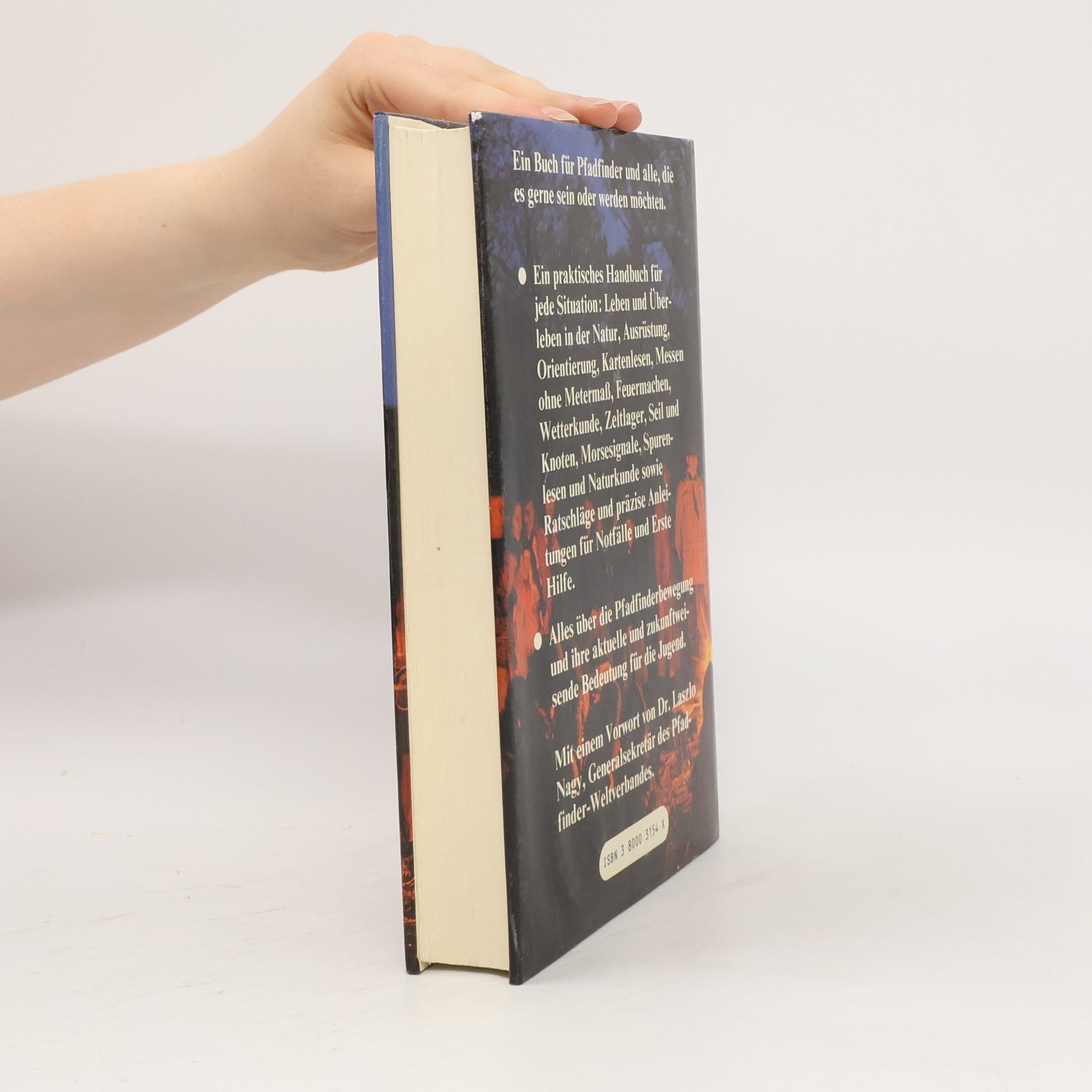 Walter Hansen Das große Pfadfinderbuch