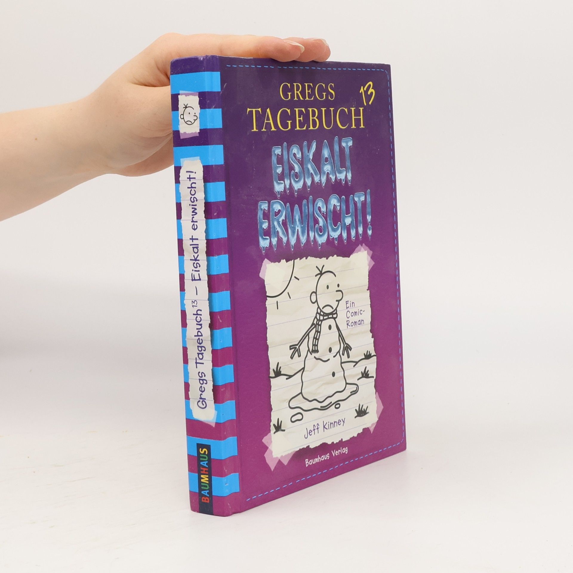 Gregs Tagebuch 13. Eiskalt Erwisch!