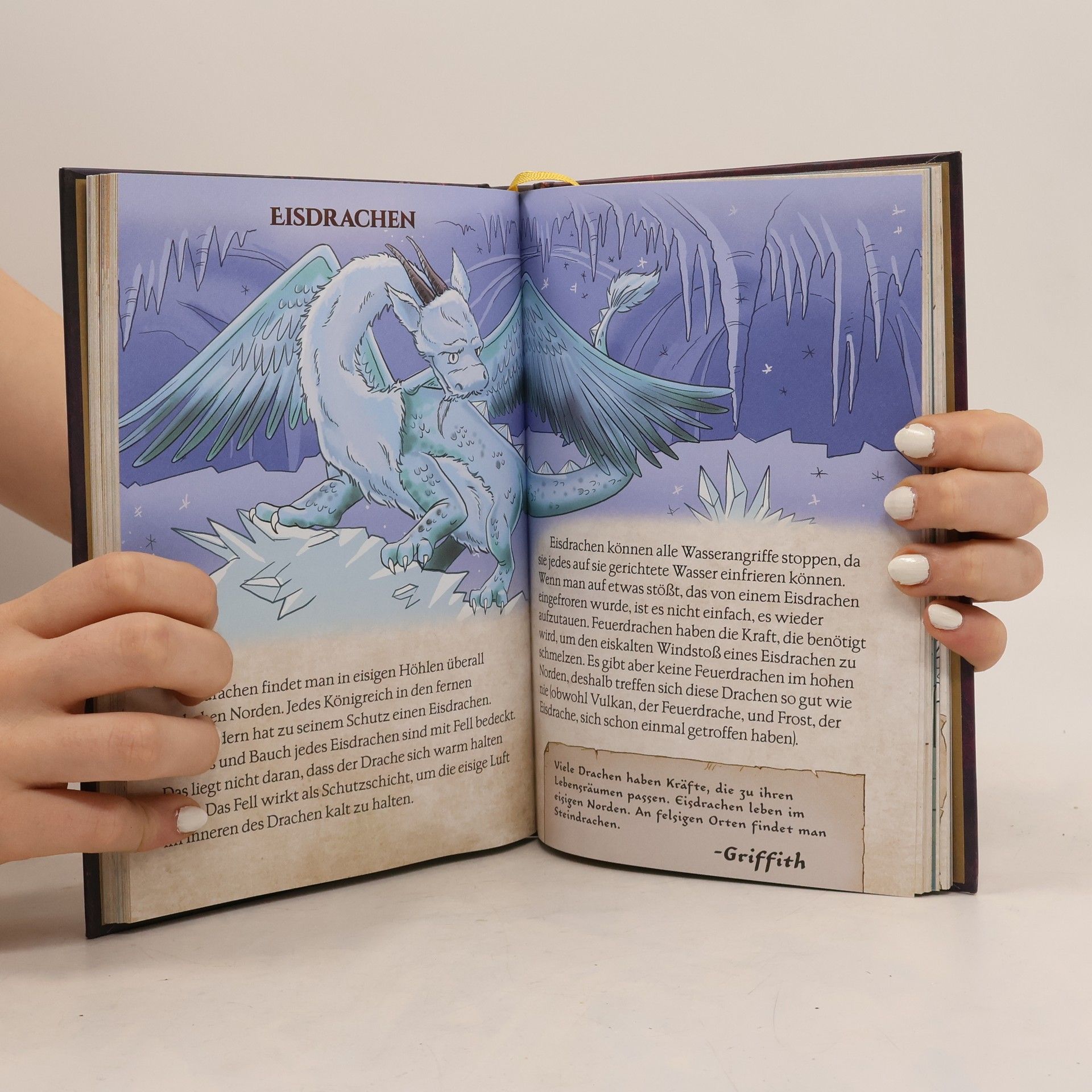 Tracey West Griffiths Handbuch für Drachenmeister