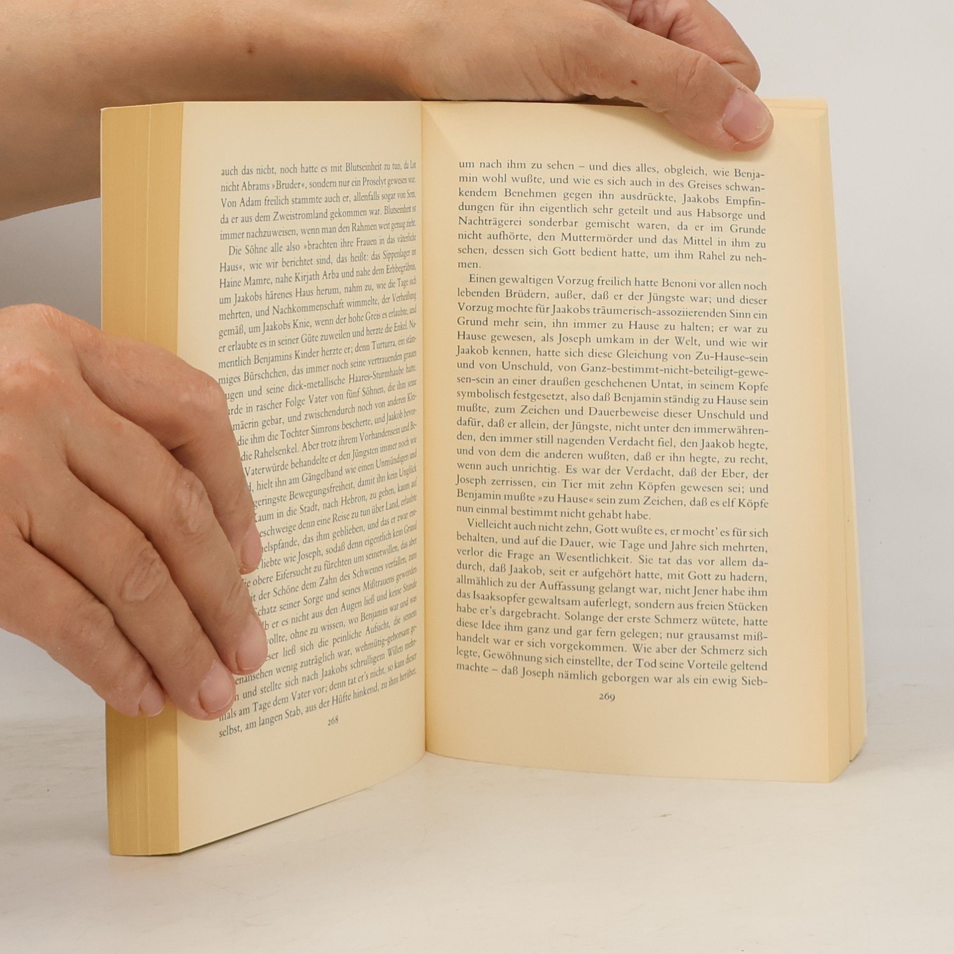 Thomas Mann Joseph und seine Brüder