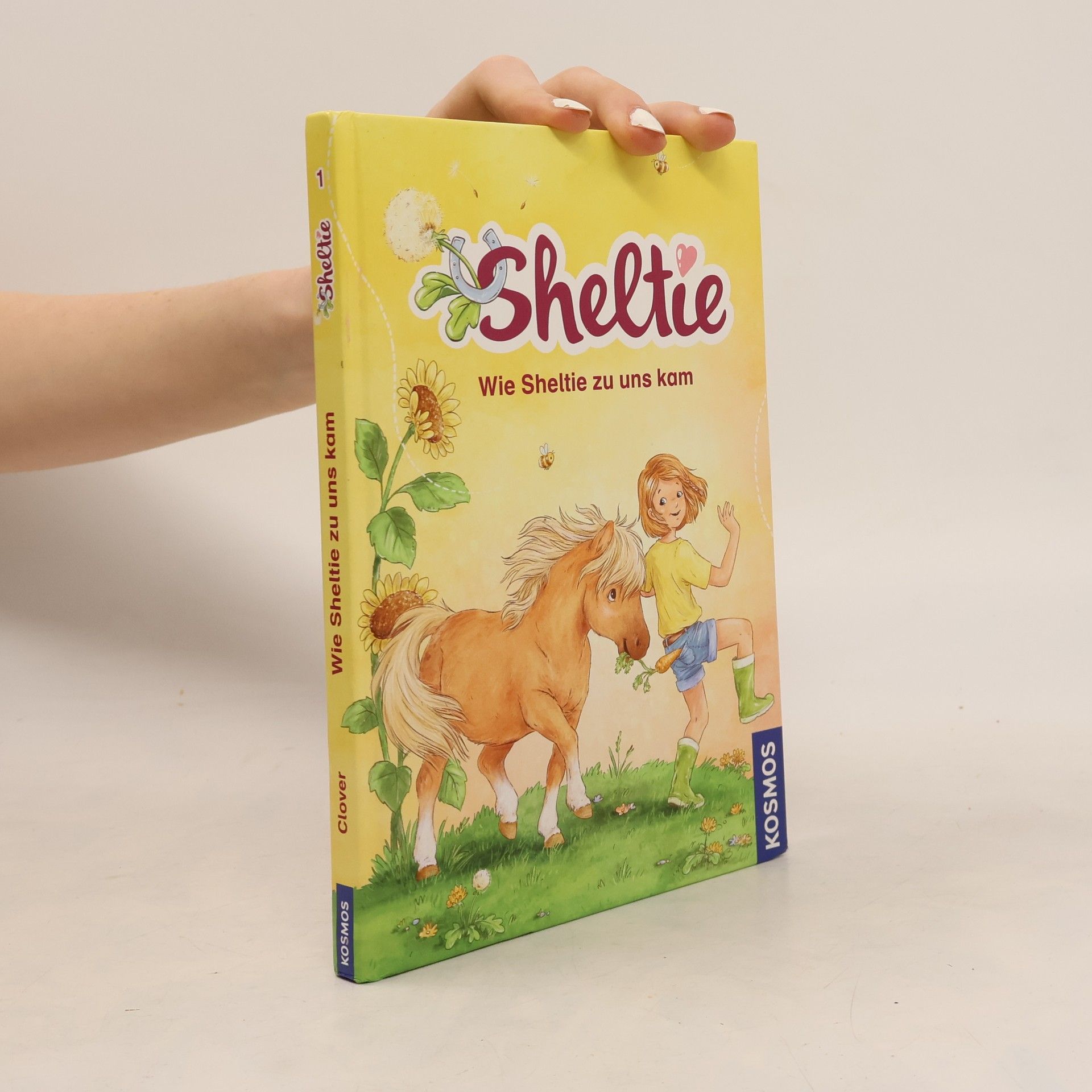 Peter Clover Sheltie. Wie Sheltie zu uns kam