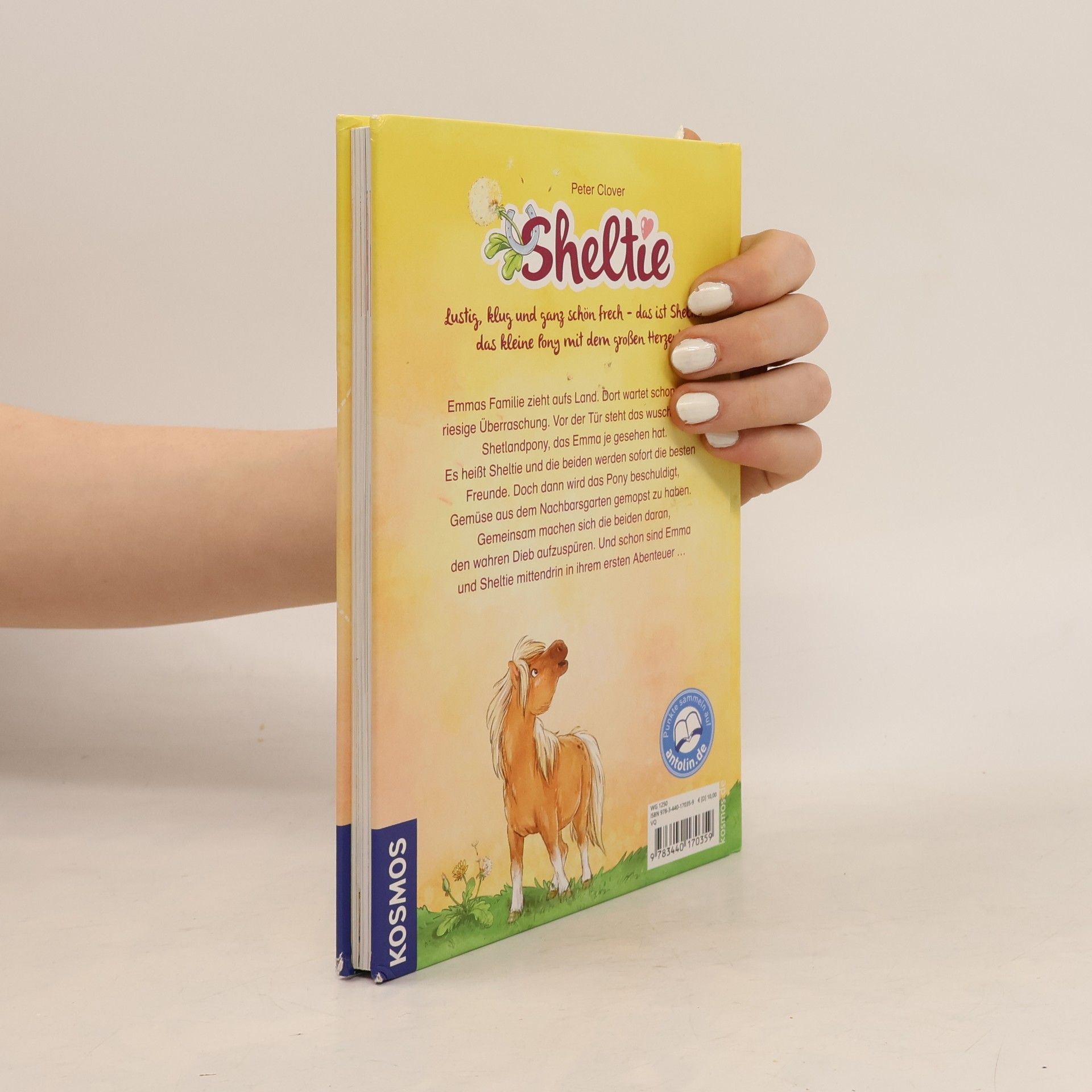 Peter Clover Sheltie. Wie Sheltie zu uns kam
