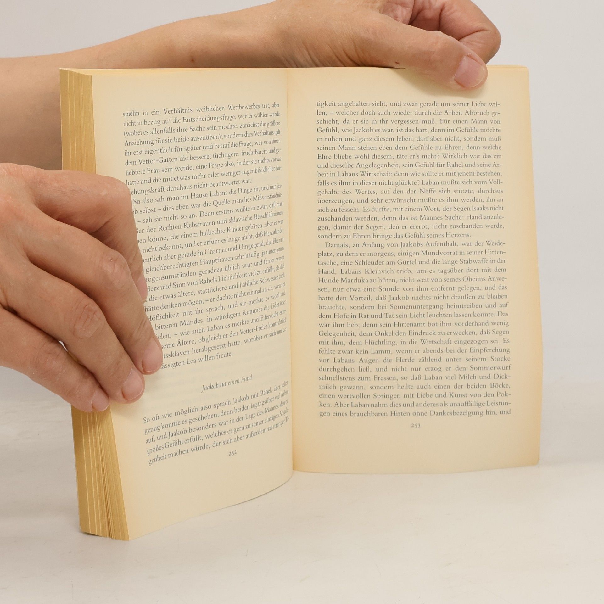 Thomas Mann Joseph und seine Brüder