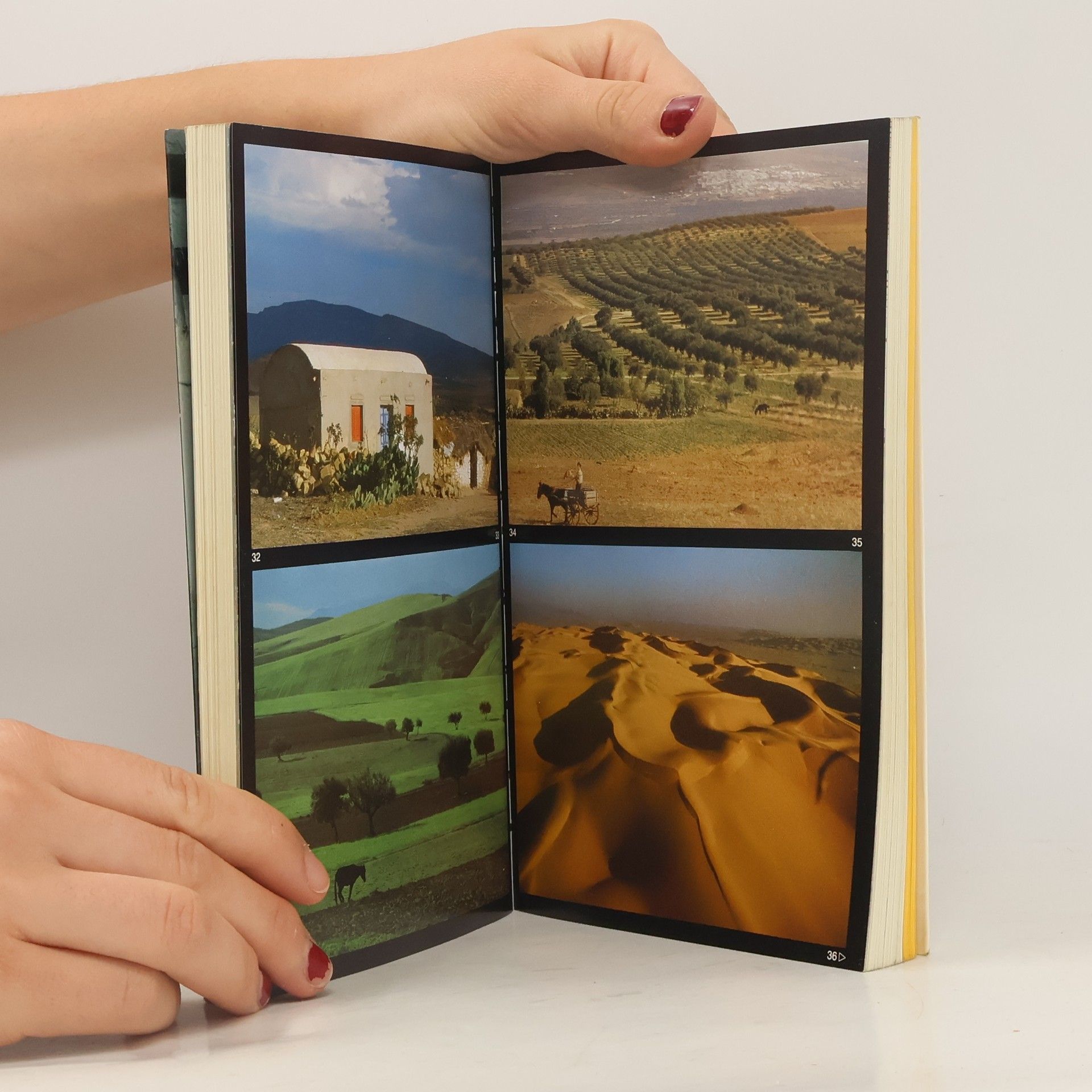 Michael Köhler Tunesien : Reise-Handbuch