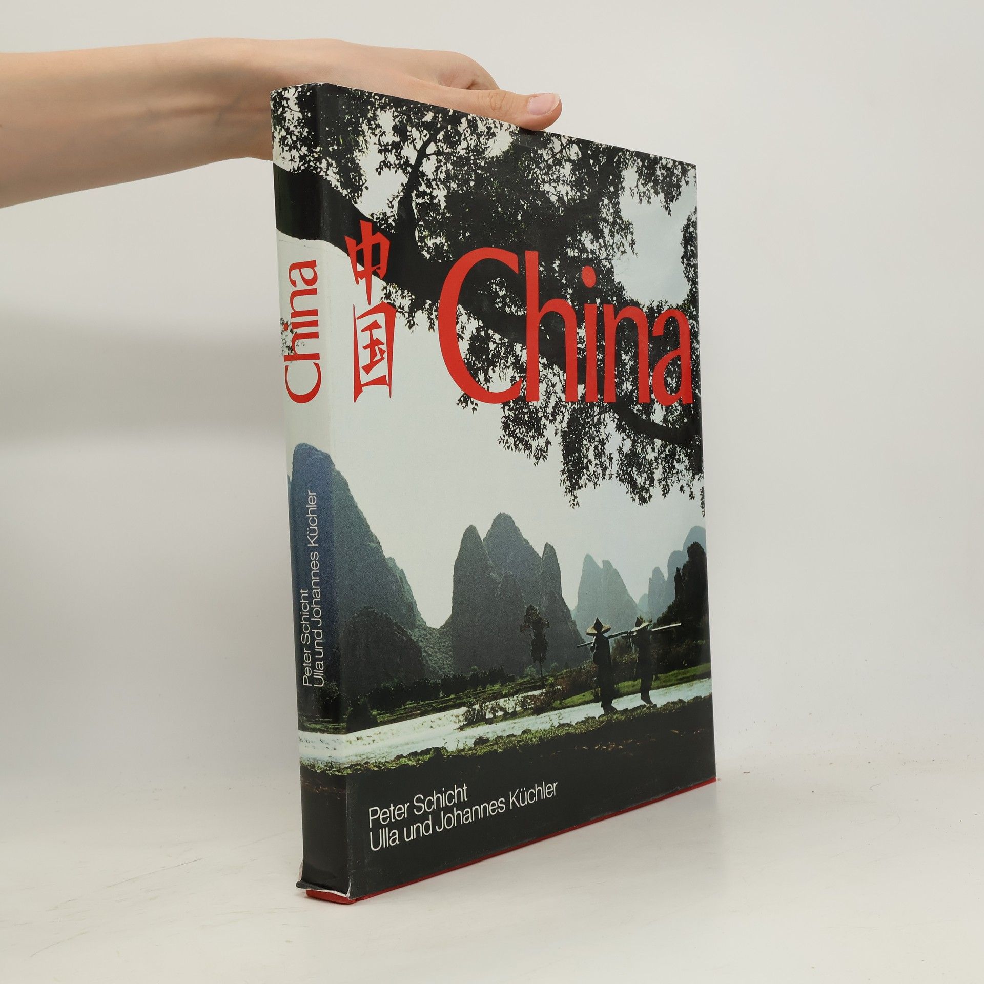 Peter Schicht China