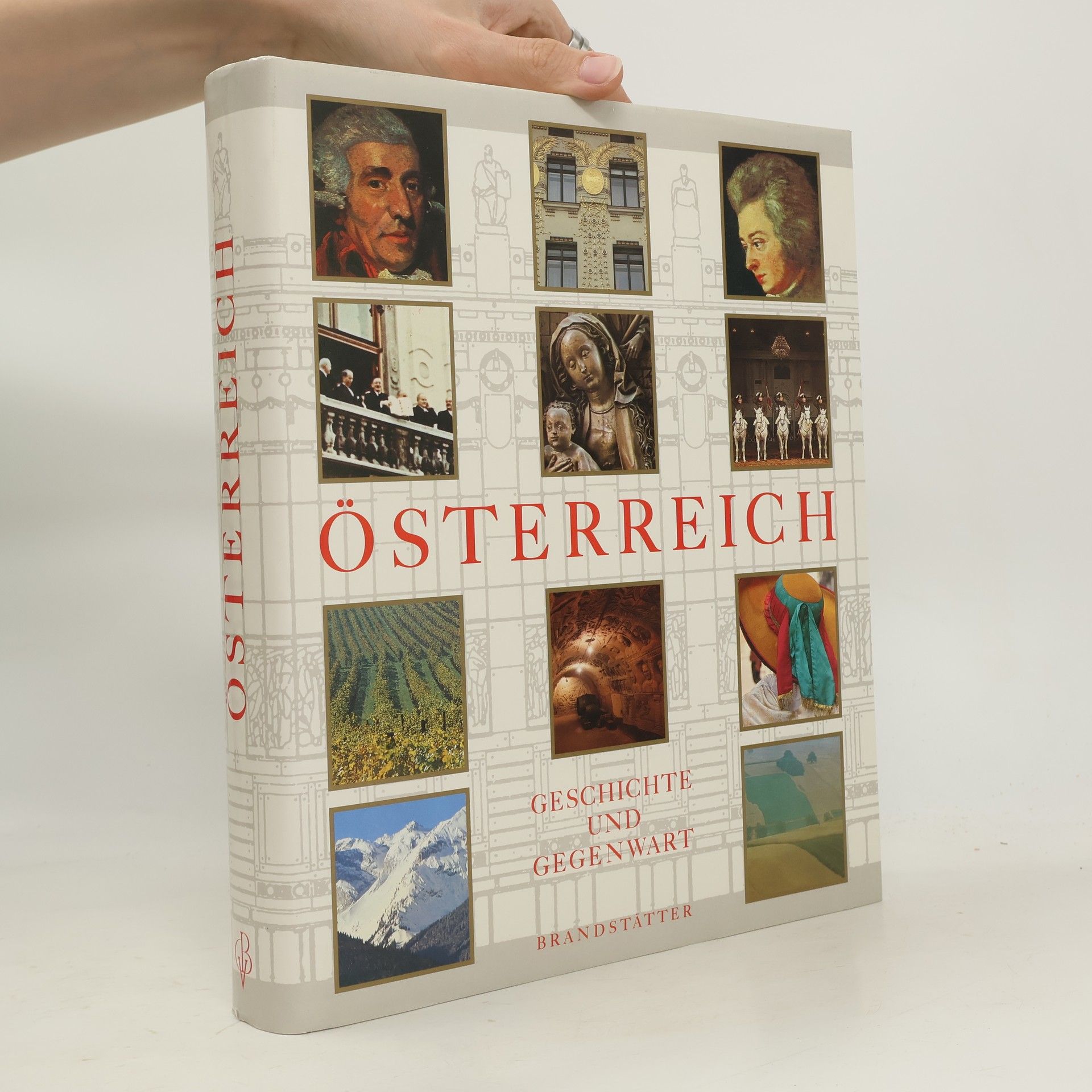 Kolektiv autorů Österreich : Geschichte und Gegenwart