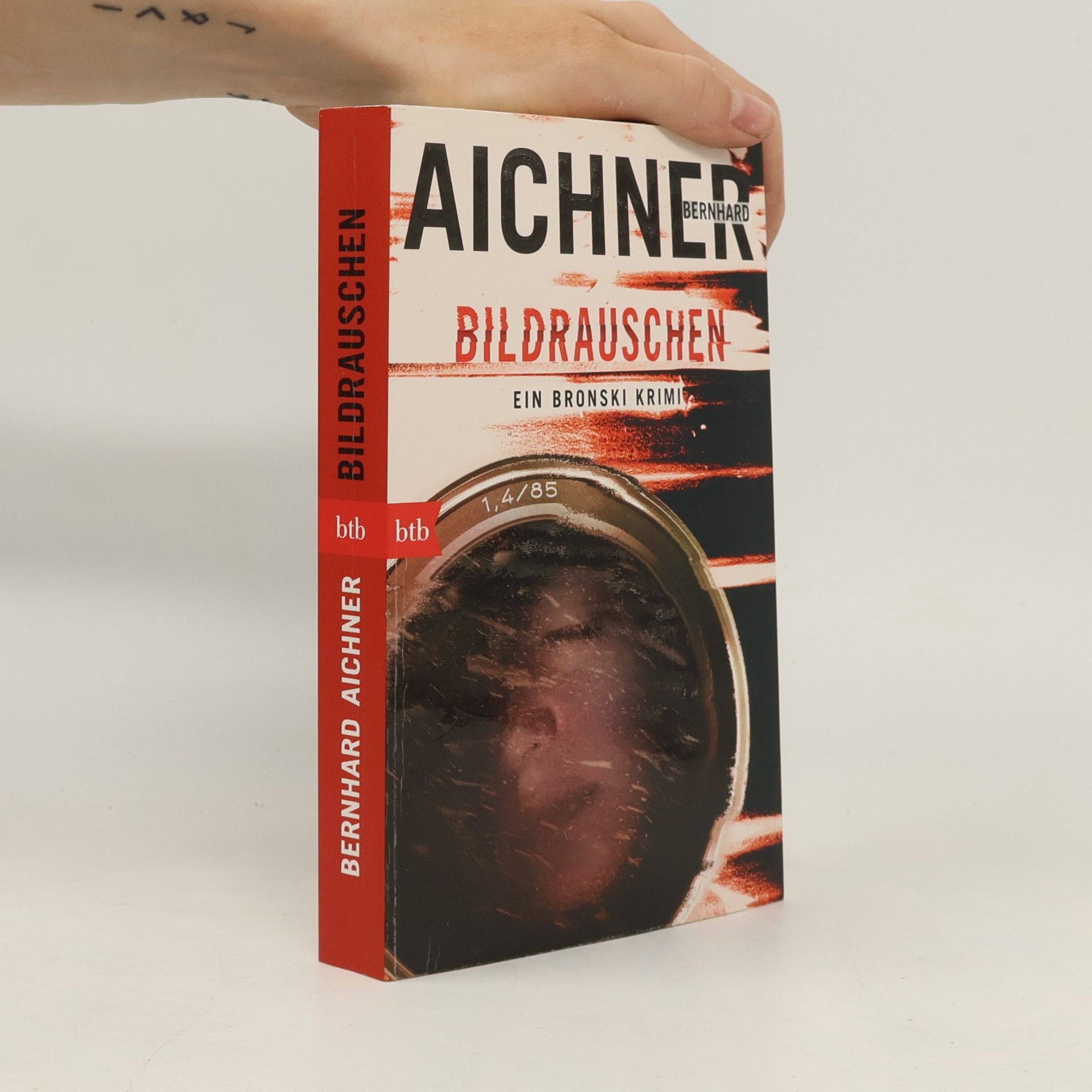 Bernhard Aichner Bildrauschen