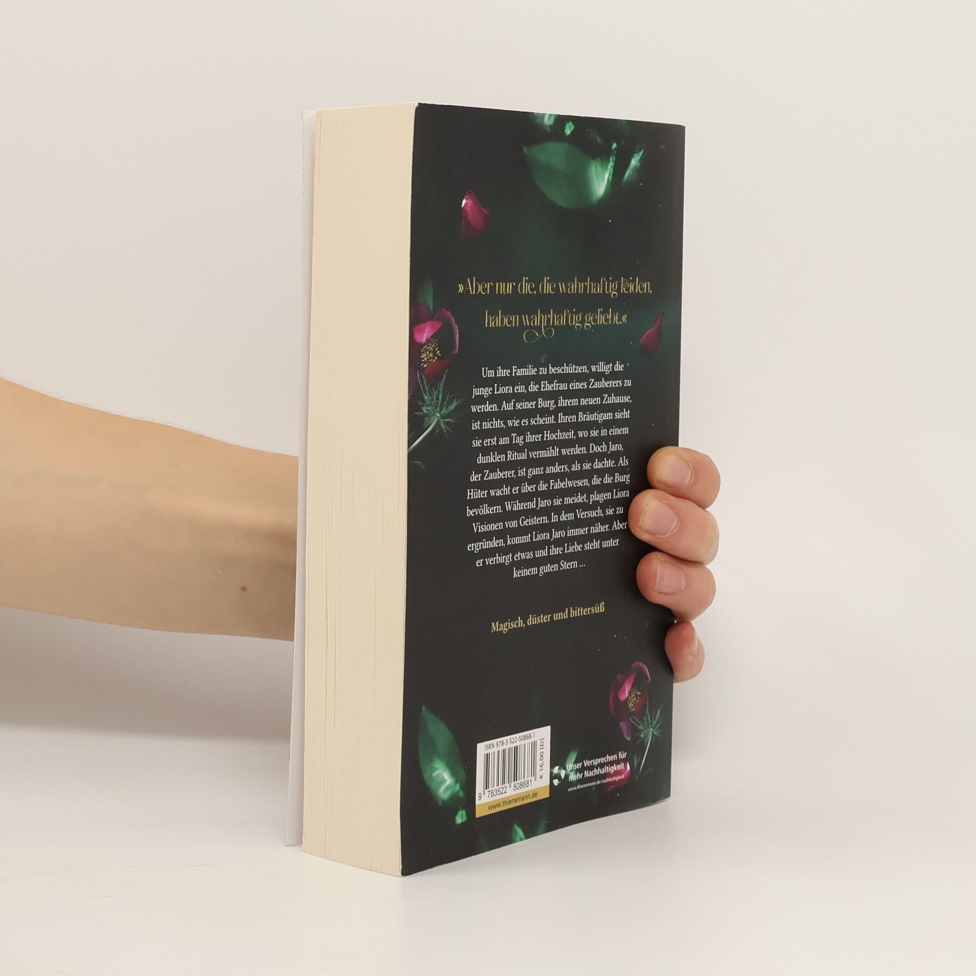 Regina Meißner How to seduce a sorcerer