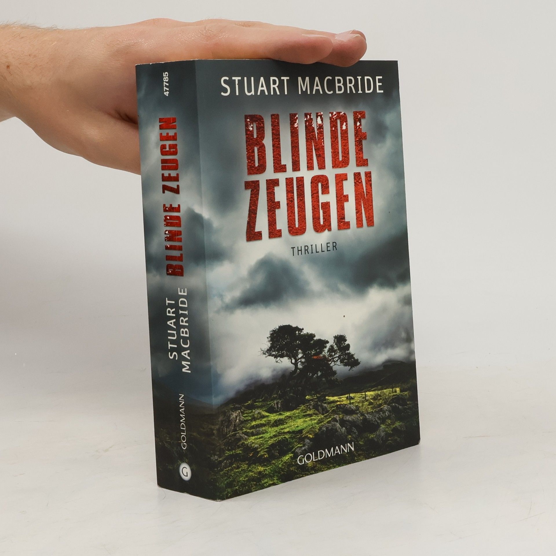 Stuart MacBride Blinde Zeugen