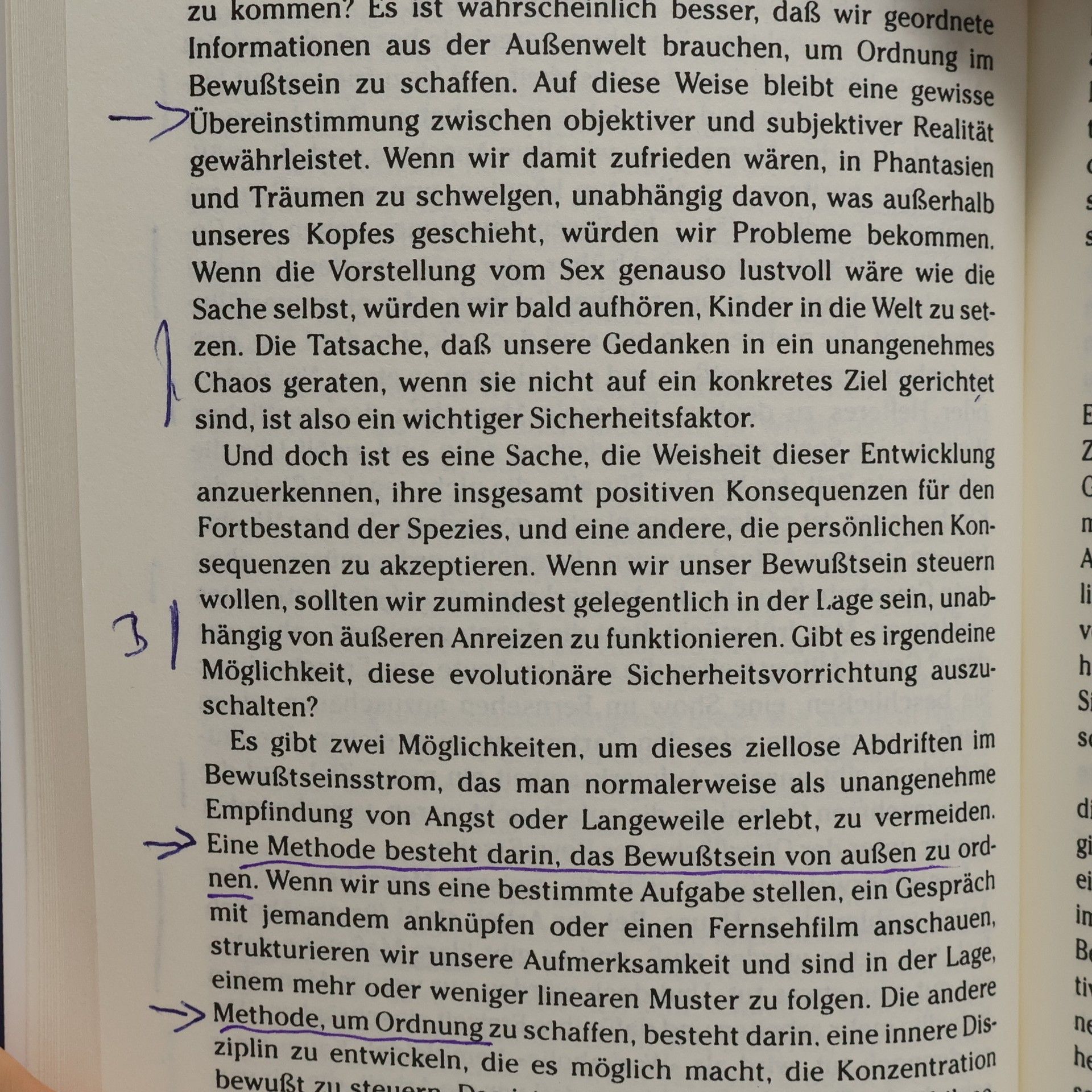 Mihály Csíkszentmihályi Dem Sinn des Lebens eine Zukunft geben. Eine Psychologie für das 3. Jahrtausend.