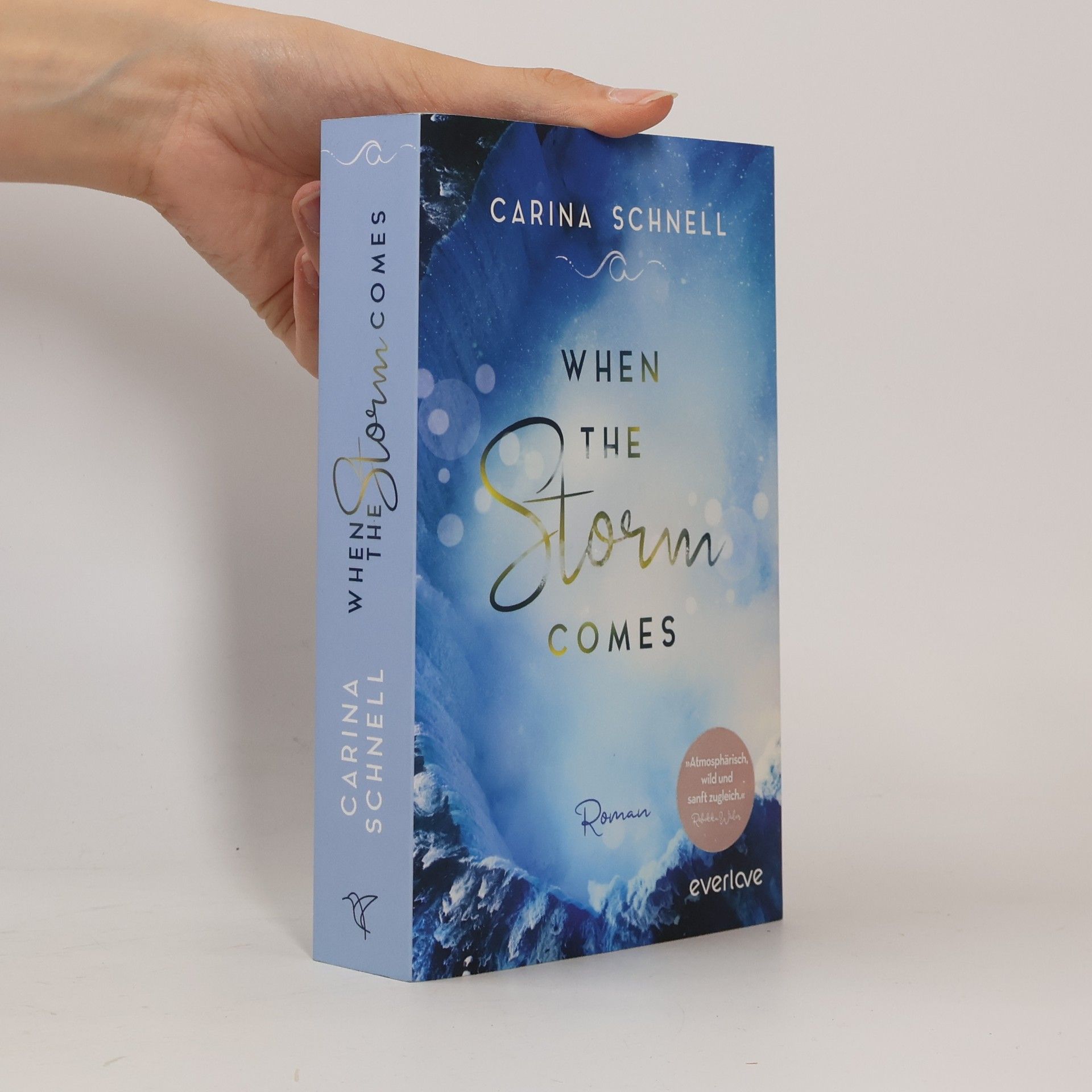 Karina Schnell When the storm comes