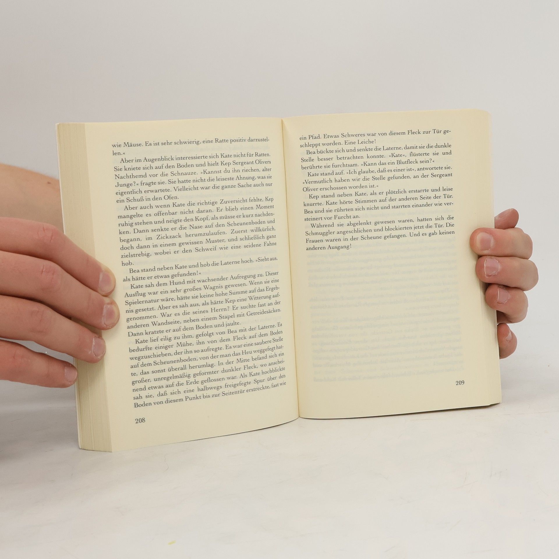 Robin Paige Ein Sommernachtsmord. Roman. Aus d. Amerikan. v. Wolfgang Thon