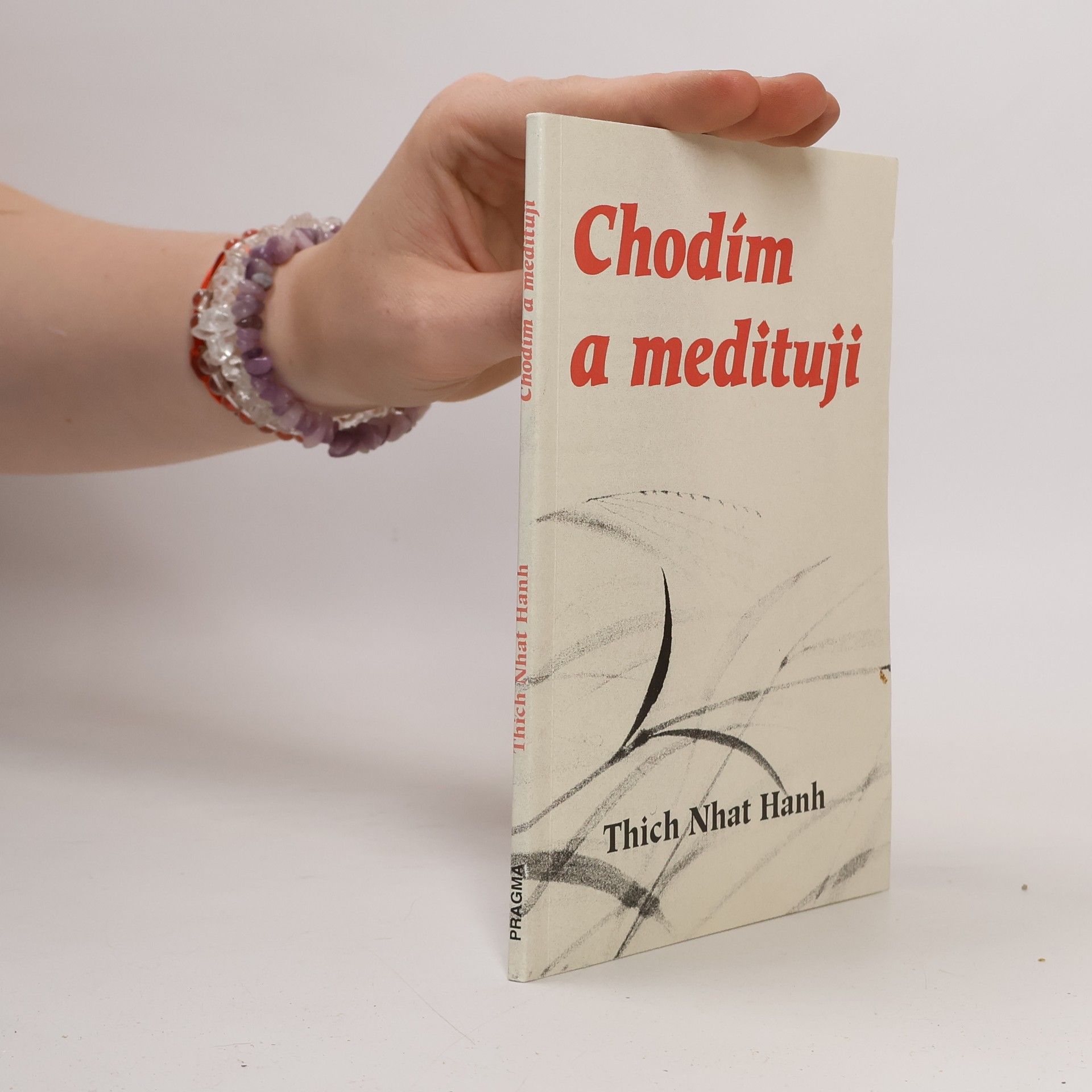 Thich Nhat Hanh Chodím a medituji