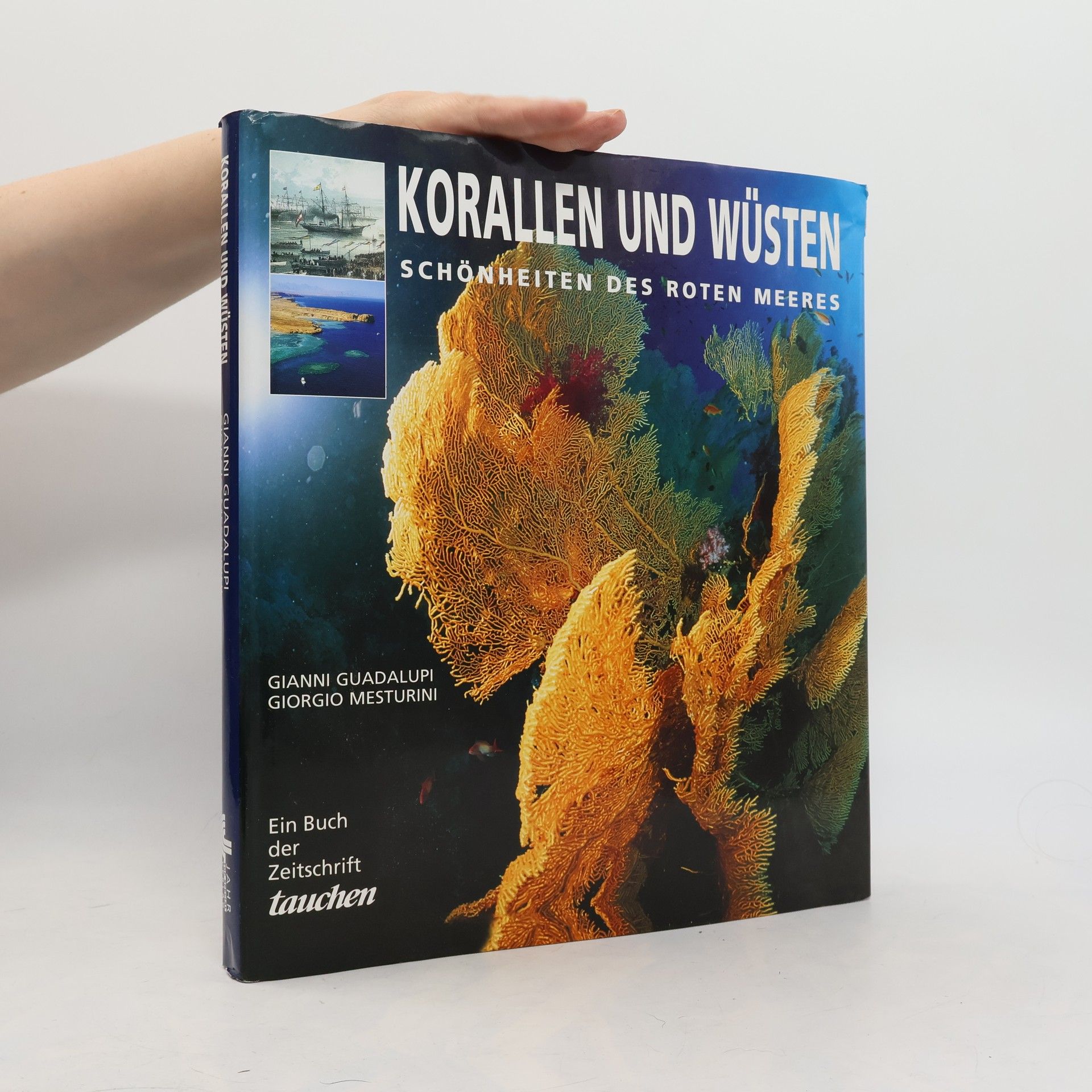 Giorgio Mesturini Korallen und Wüsten