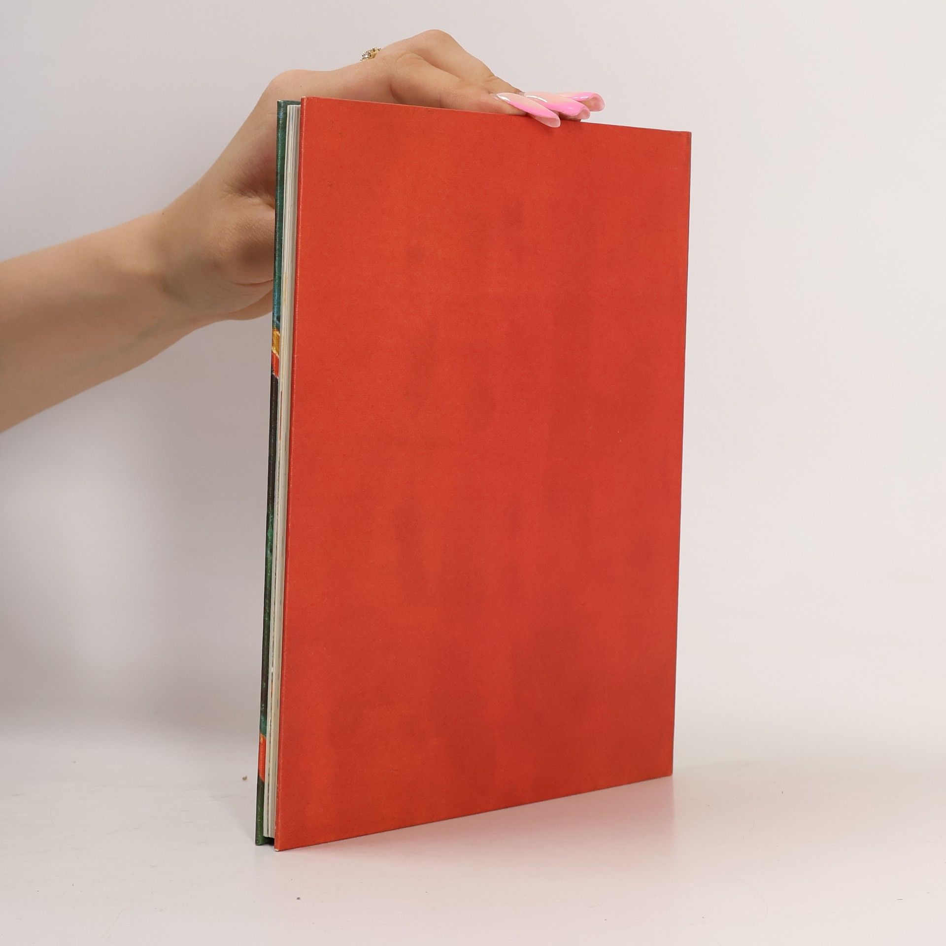 Roland Fürstenhöfer Meine erste Bibel