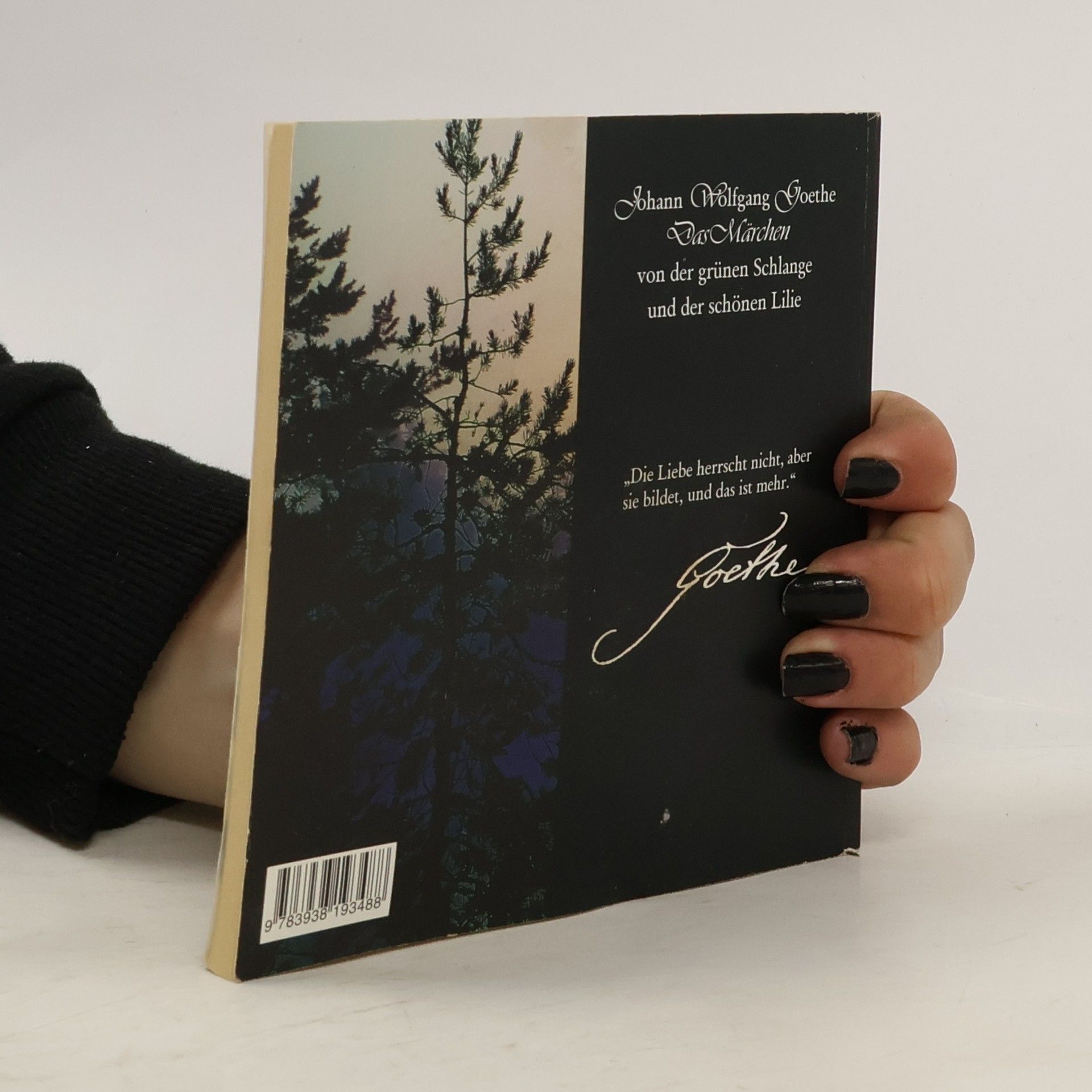 Johann Wolfgang von Goethe Die Märchen von der grünen Schlange und der schönen Lilie