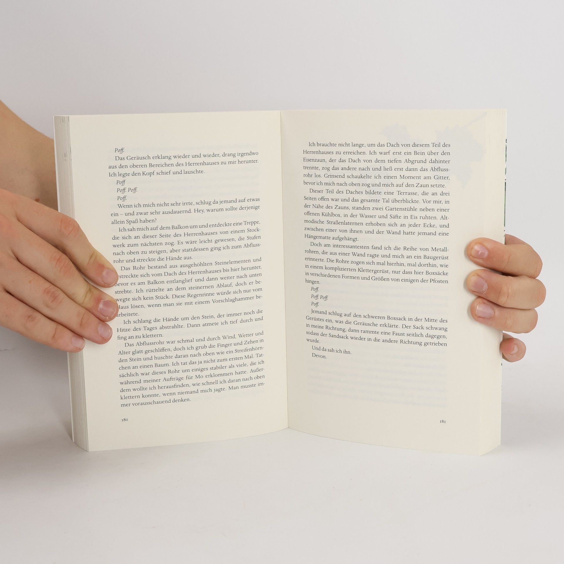 Jennifer Estep Das eisige Feuer der Magie