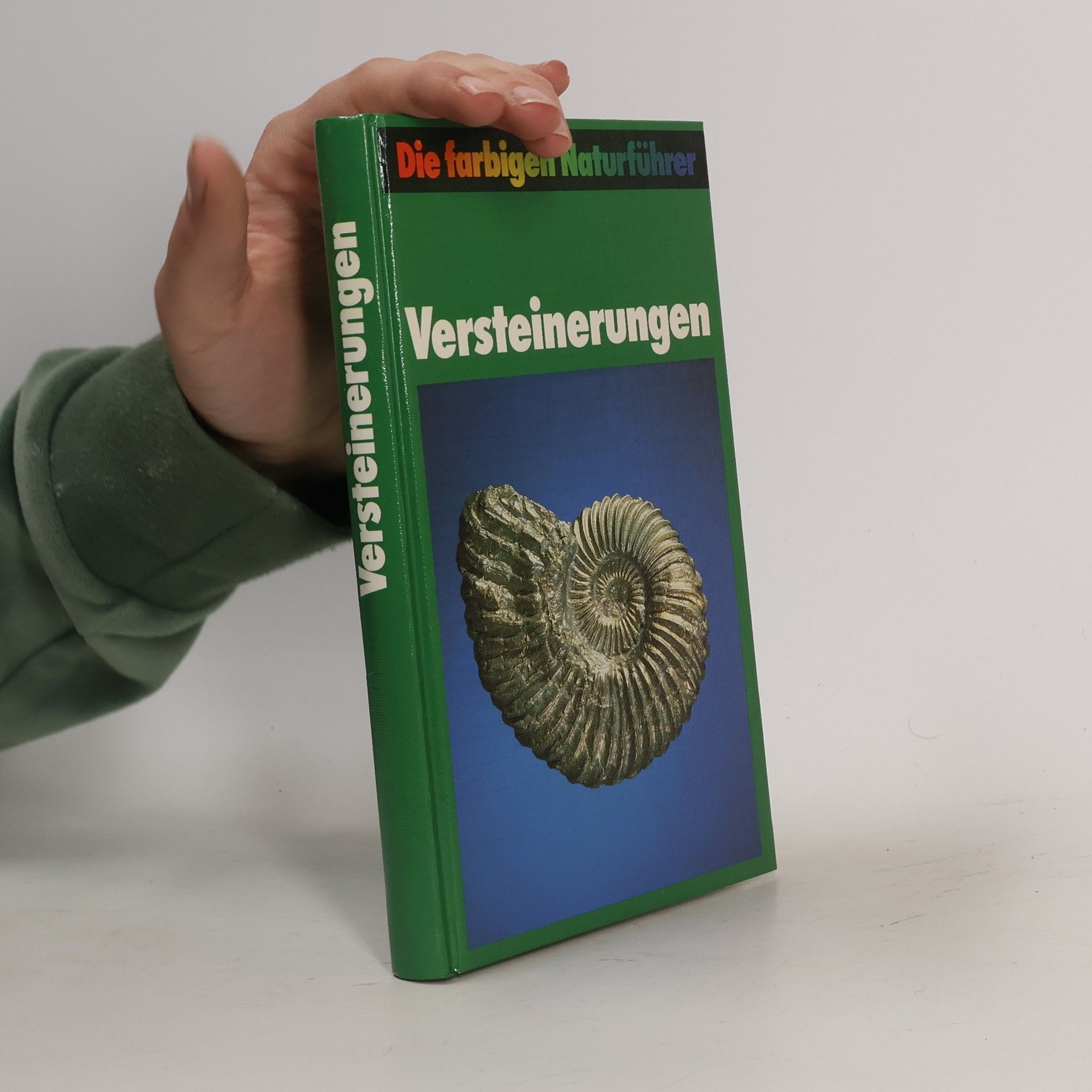 Kolektiv autorů Versteinerungen