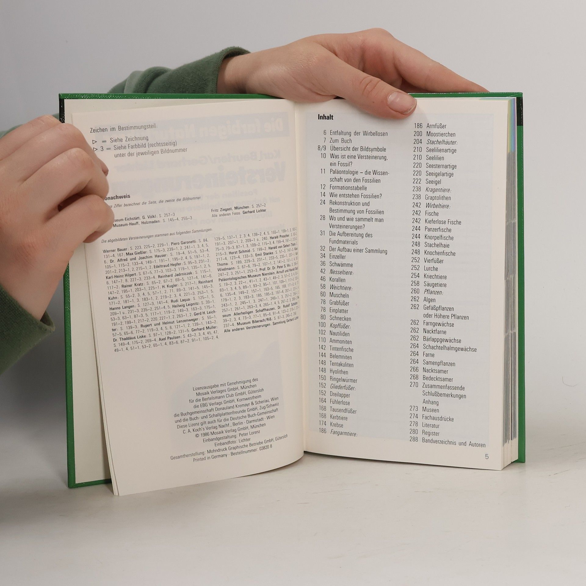 Autorenkollektiv Versteinerungen