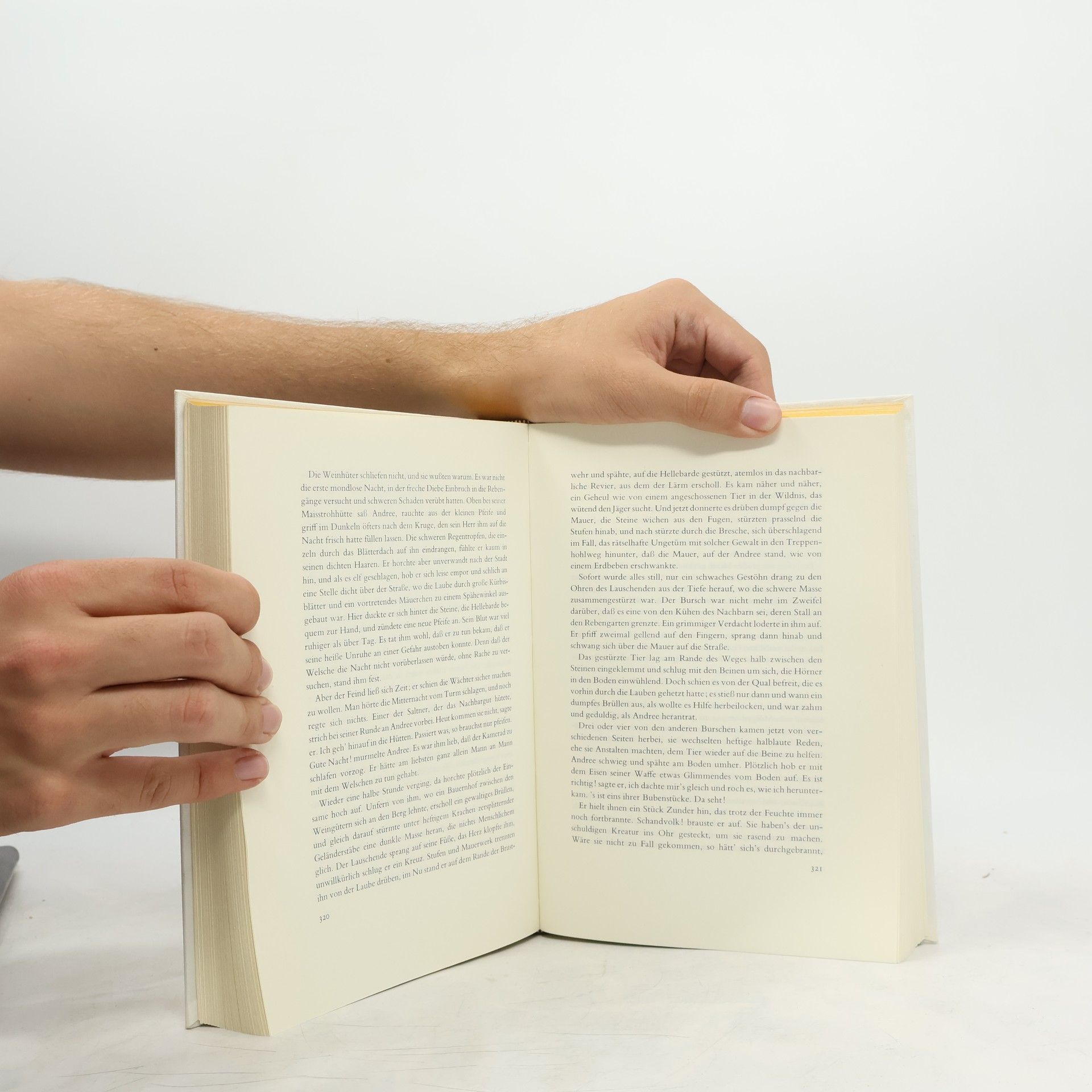 Paul Heyse Italienische Novellen