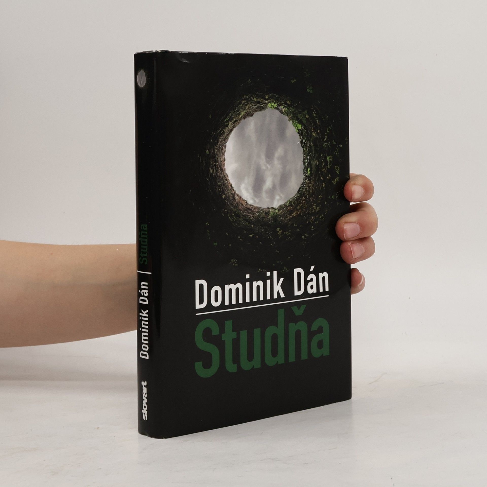 Dominik Dán Studňa