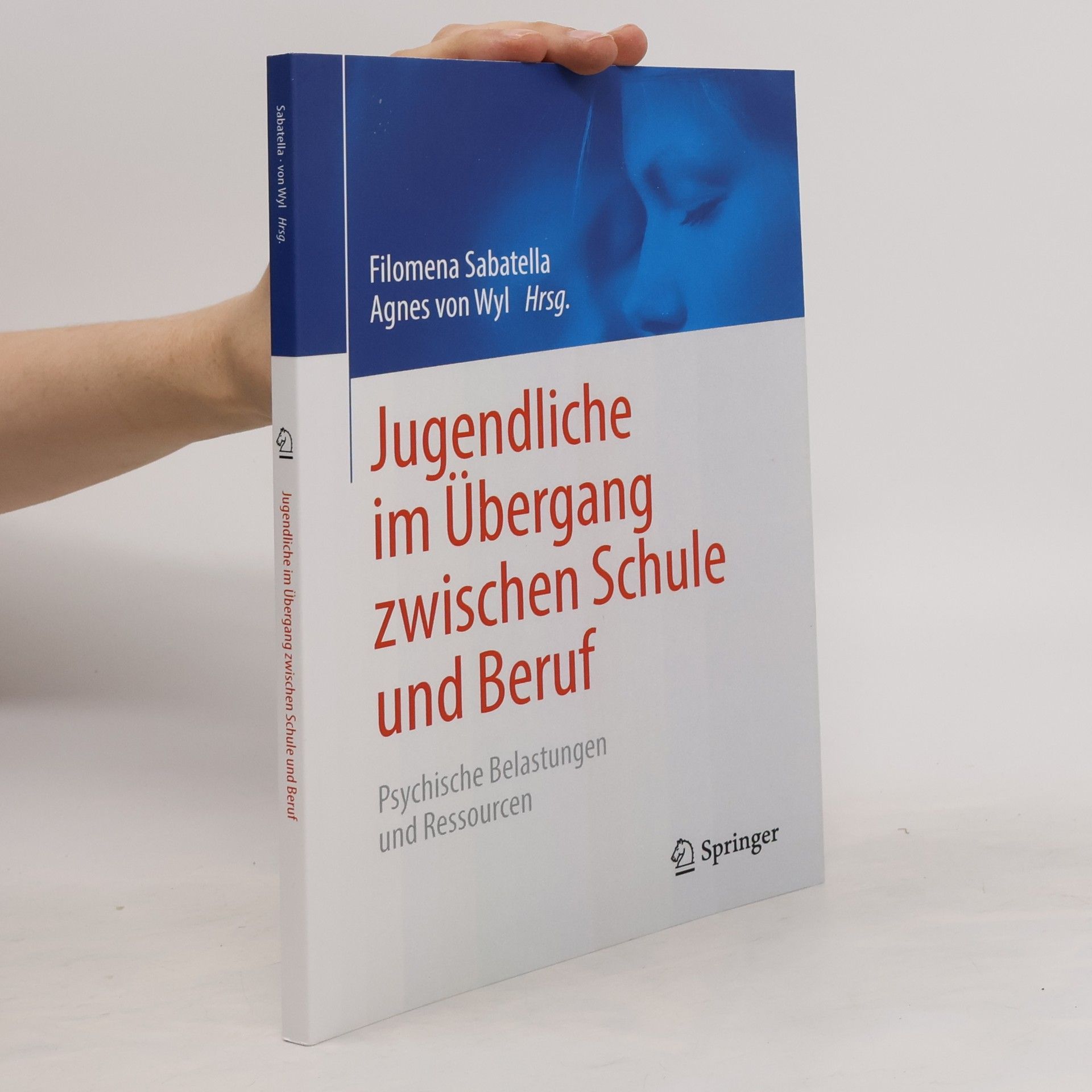Agnes von Wyl Jugendliche im Übergang zwischen Schule und Beruf