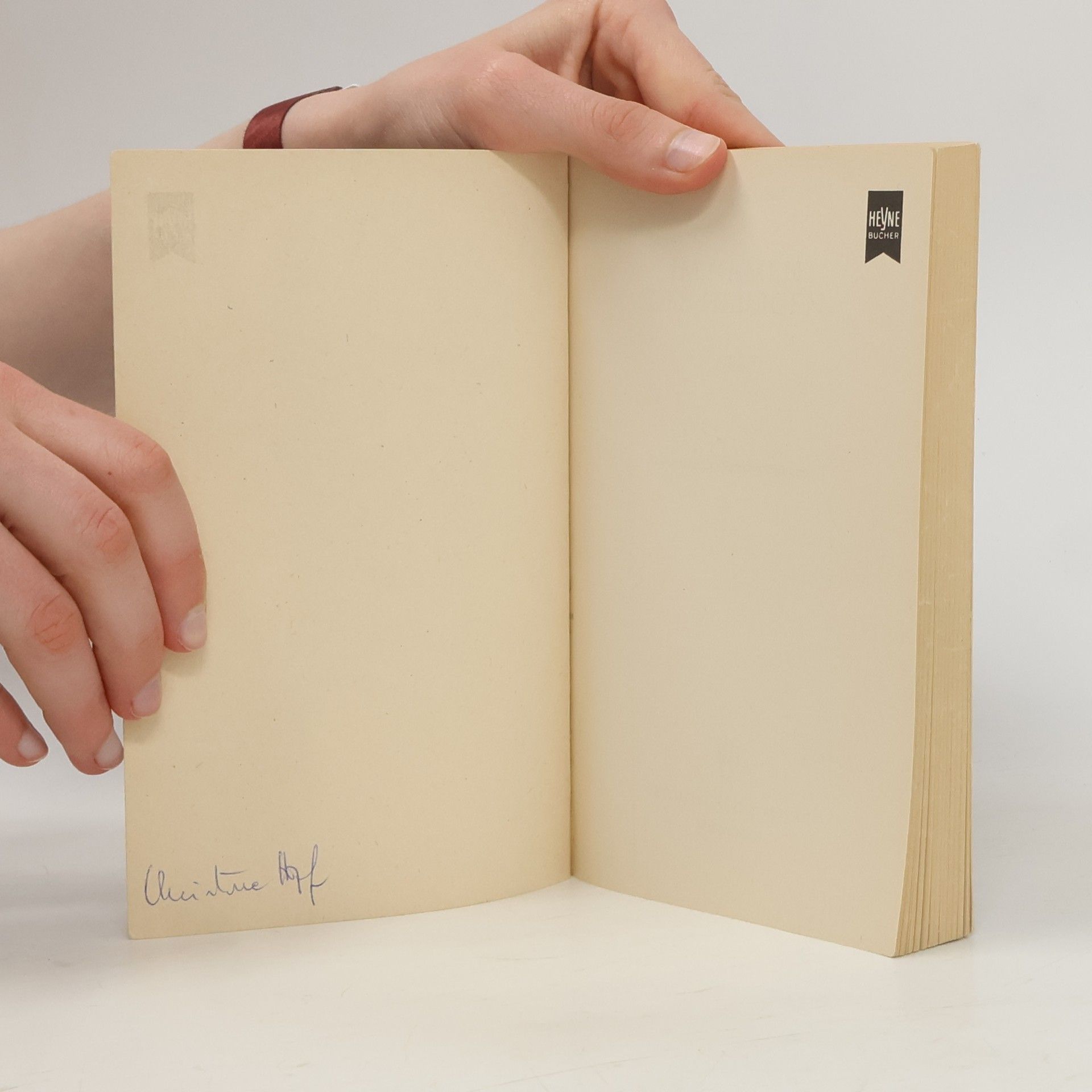 Edith Pargeter Im Namen des Heiligen