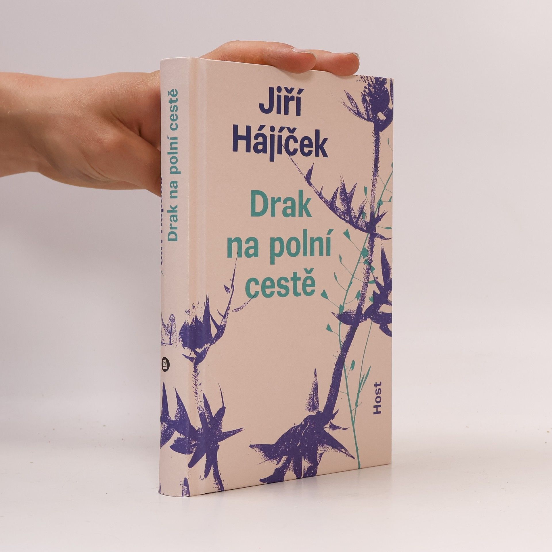 Jiří Hájíček Drak na polní cestě