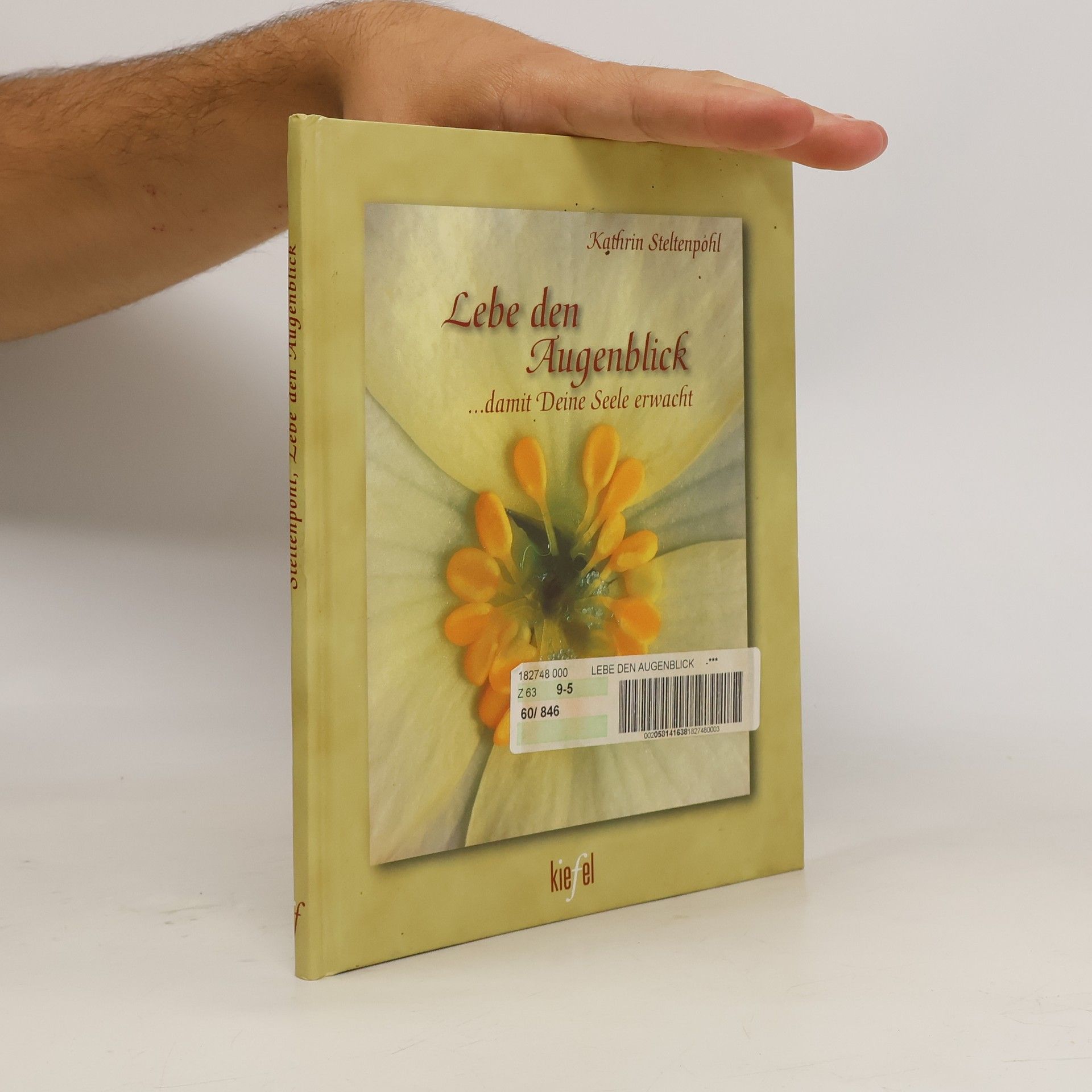 Kathrin Steltenpohl Lebe den Augenblick . . . damit deine Seele erwacht