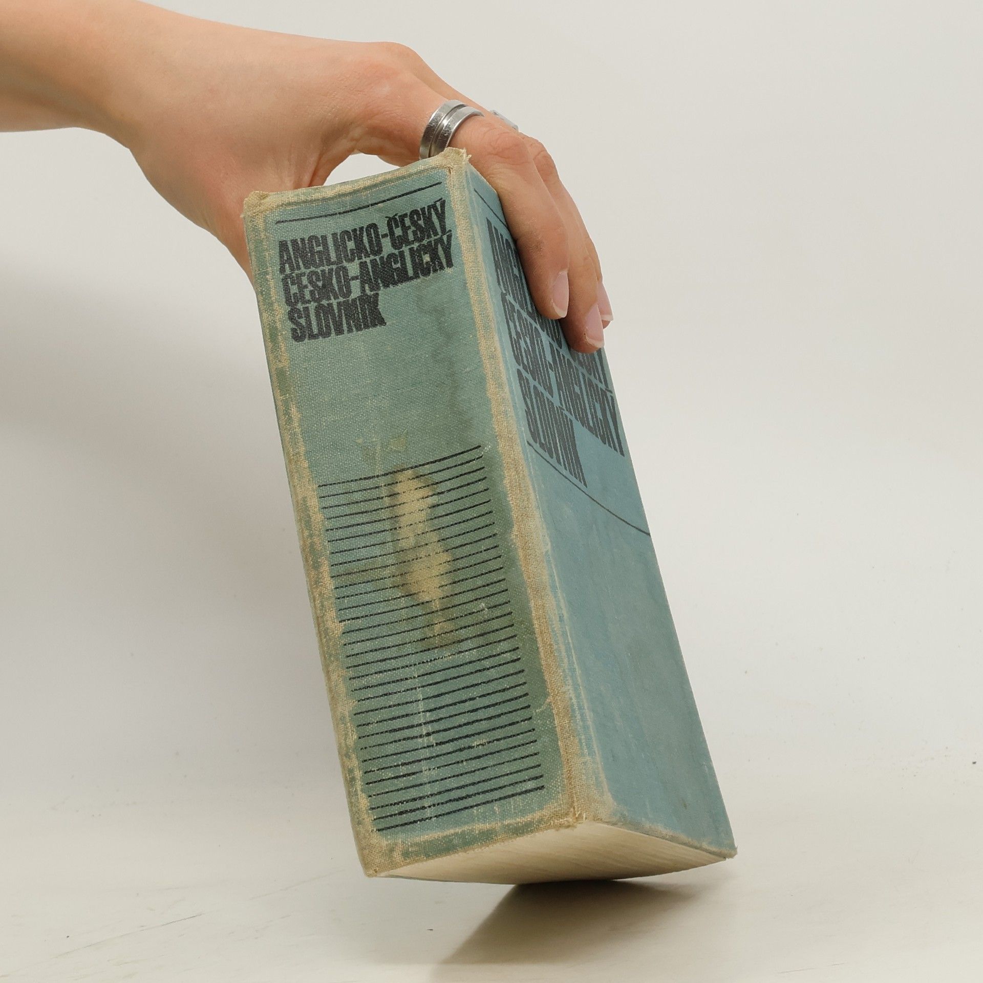 Various authors Anglicko-český a česko-anglický slovník