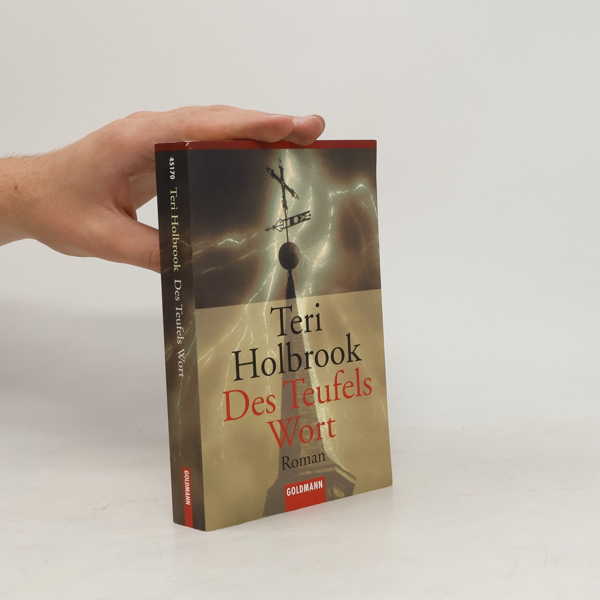 Teri Holbrook Des Teufels Wort
