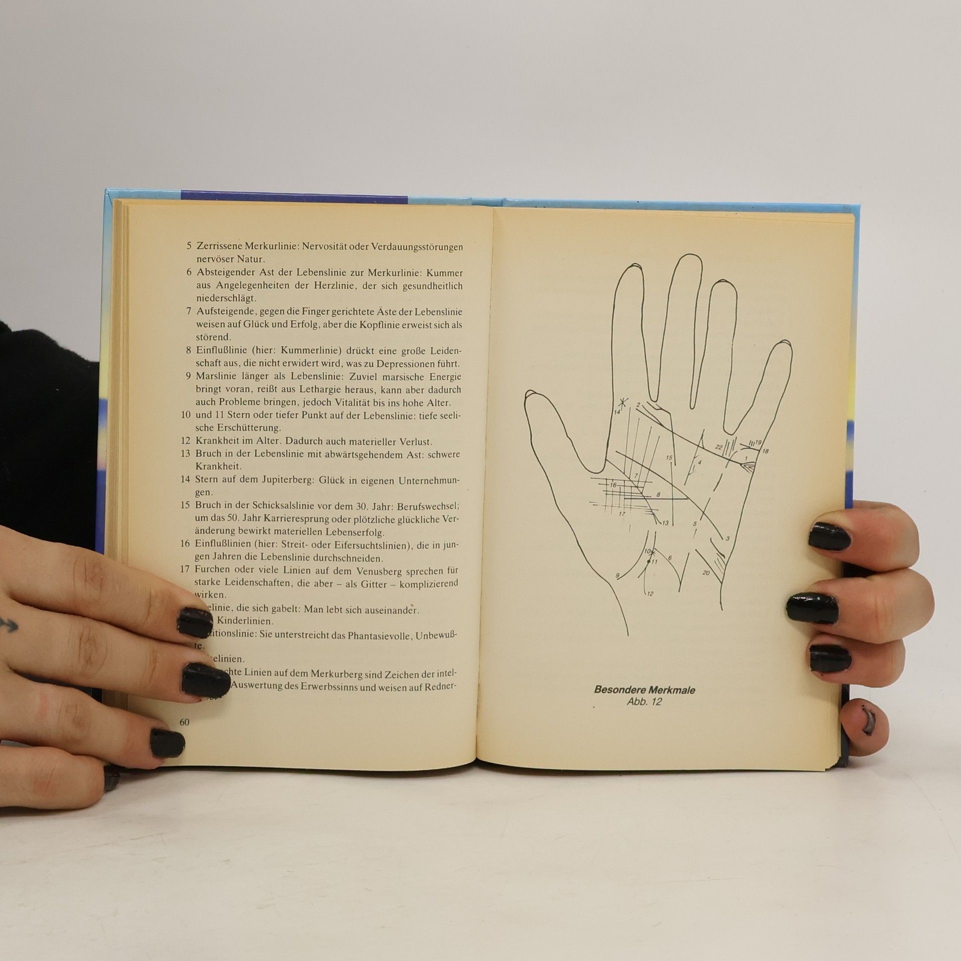 Autorenkollektiv Handdeutung