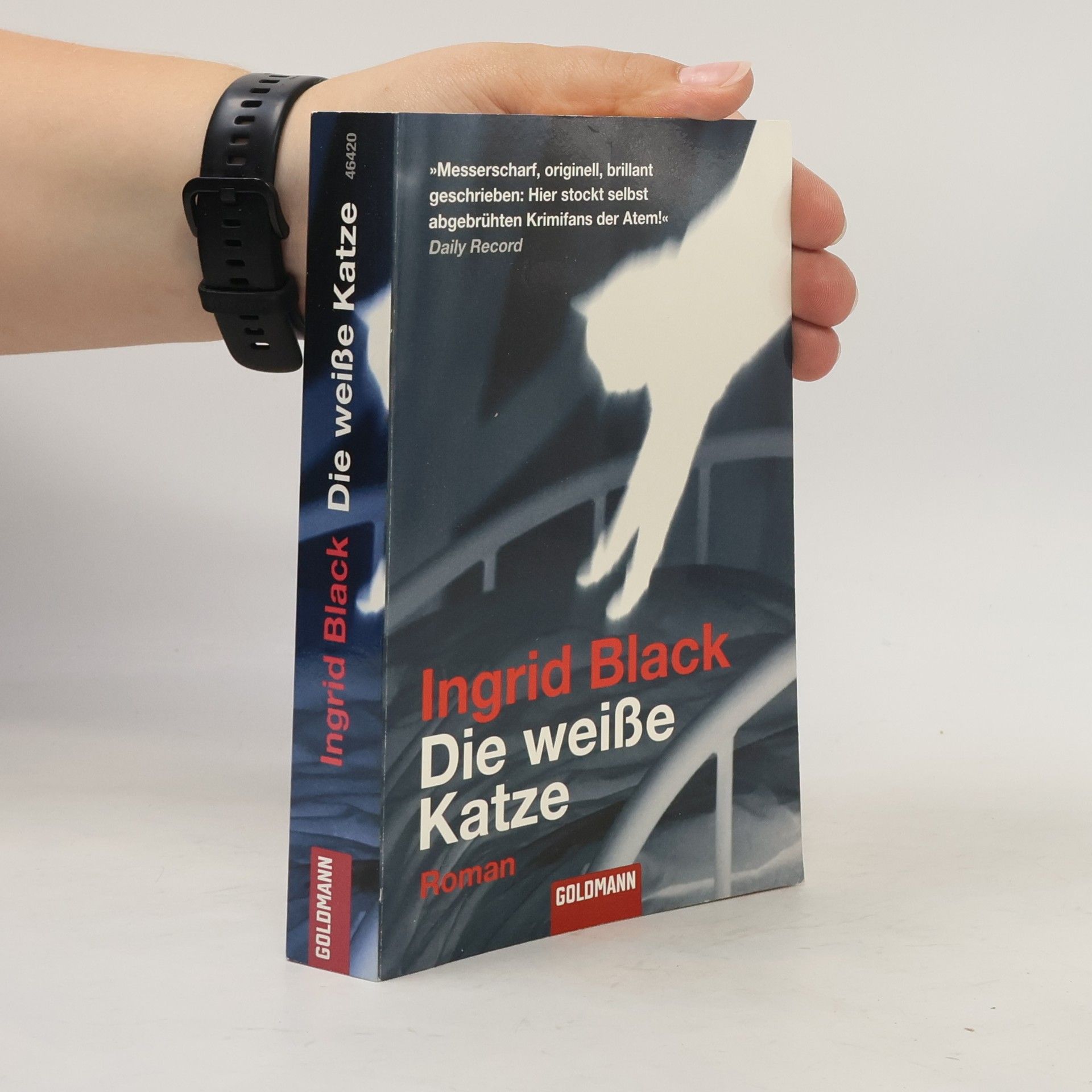 Die weiße Katze