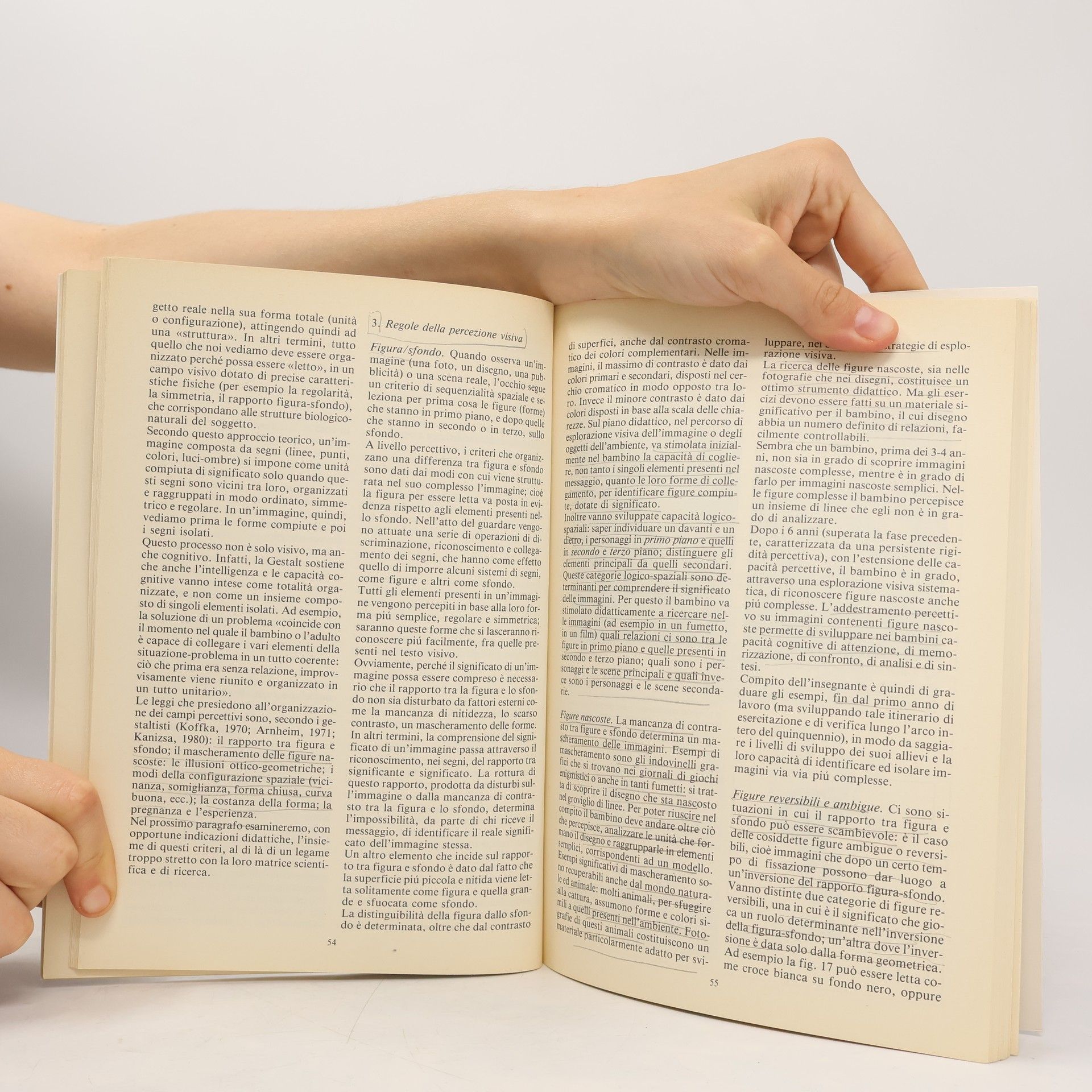 Walter Moro Le guide di Paideia - 16: Guida alla lettura delle immagini