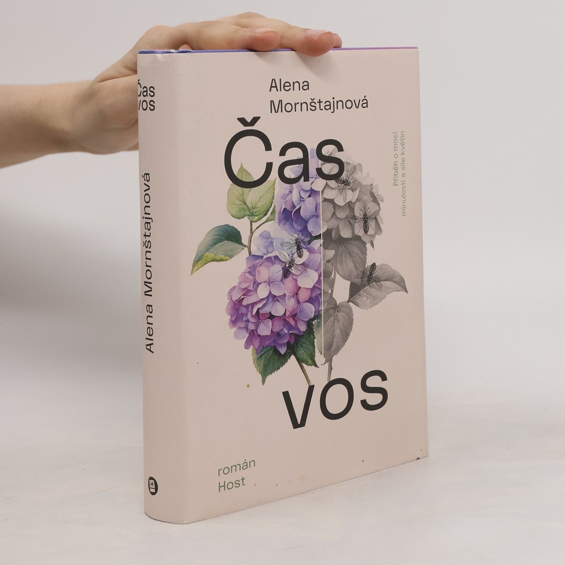 Alena Mornštajnová Čas vos
